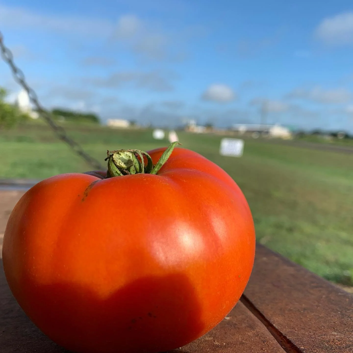 Get your 4th of July party/grilling fixings here.  Our stand is open everyday from **about 8am-8pm.