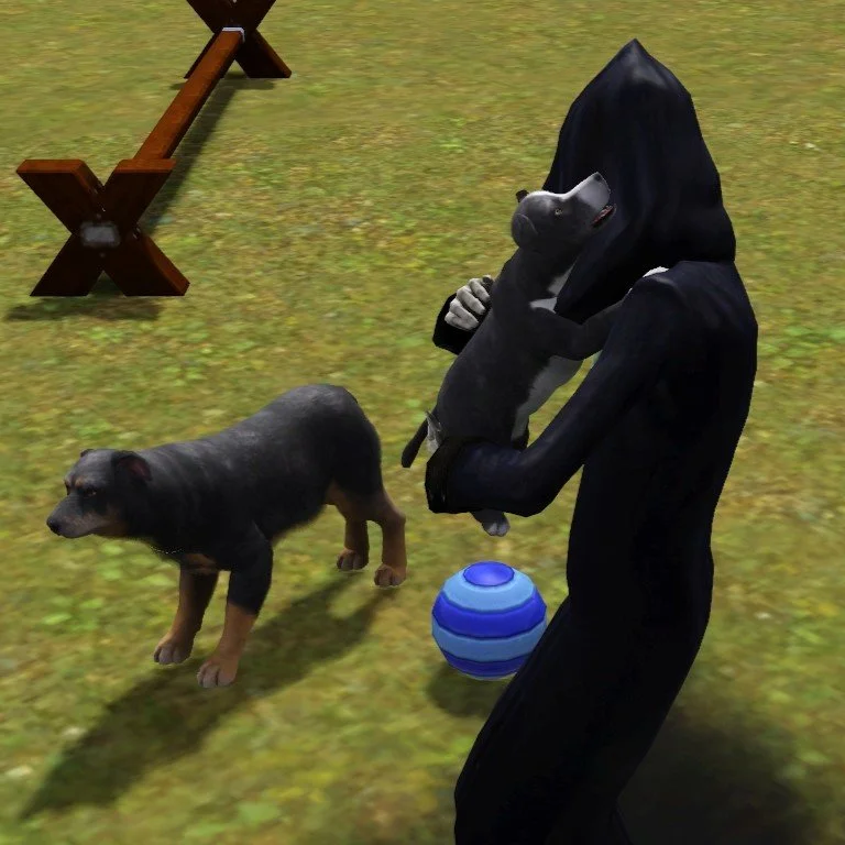 The Grim Reaper holds small senior dog Vernon on his chest and shoulder in a hug, with skeletal hands. He stands next to a large senior dog Petunia and a large pet ball.