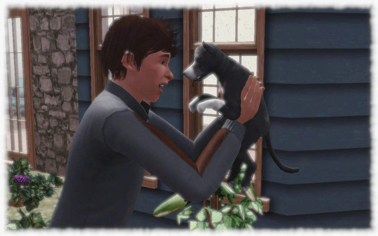 Matthew affectionately holding up small senior dog Vernon, talking to him or preparing to embrace him. The image is edited to suggest it is a memory.