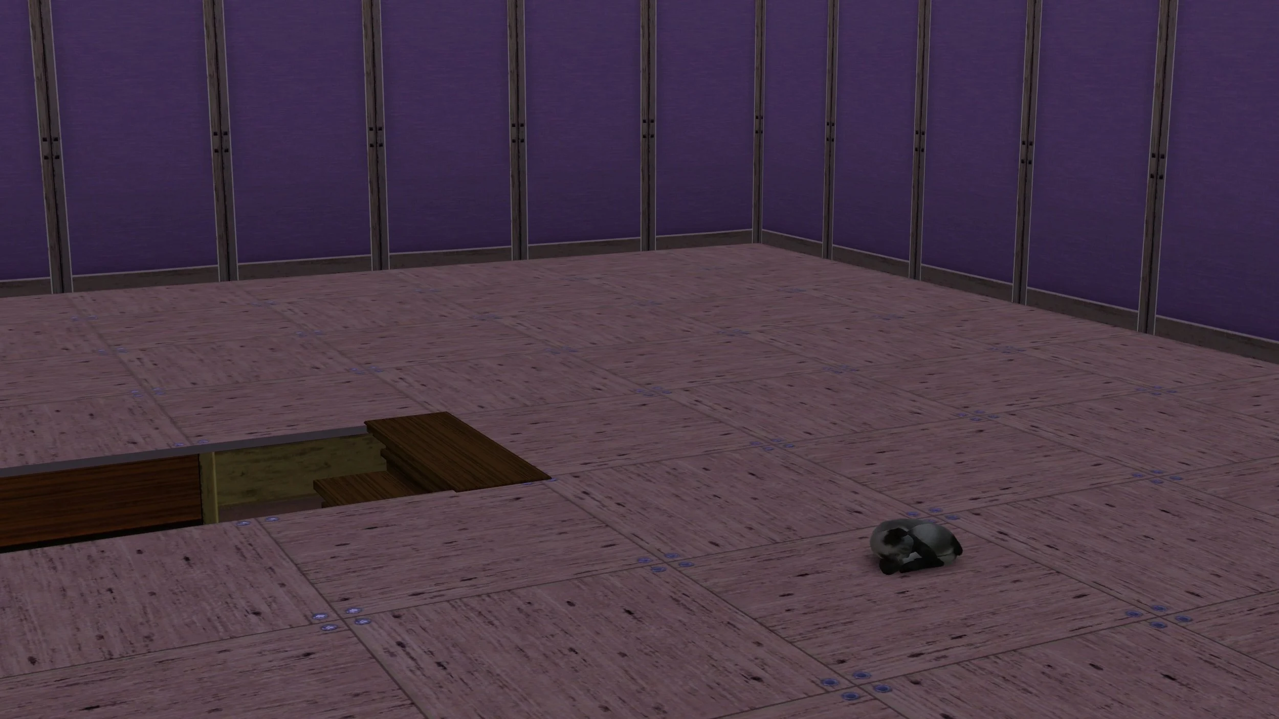 Bellatrix the cat (possibly Siamese) naps curled up in a ball on an unfinished wood subfloor in a large empty room, near a staircase down to a lower level; the walls have wood framing and pink insulation.