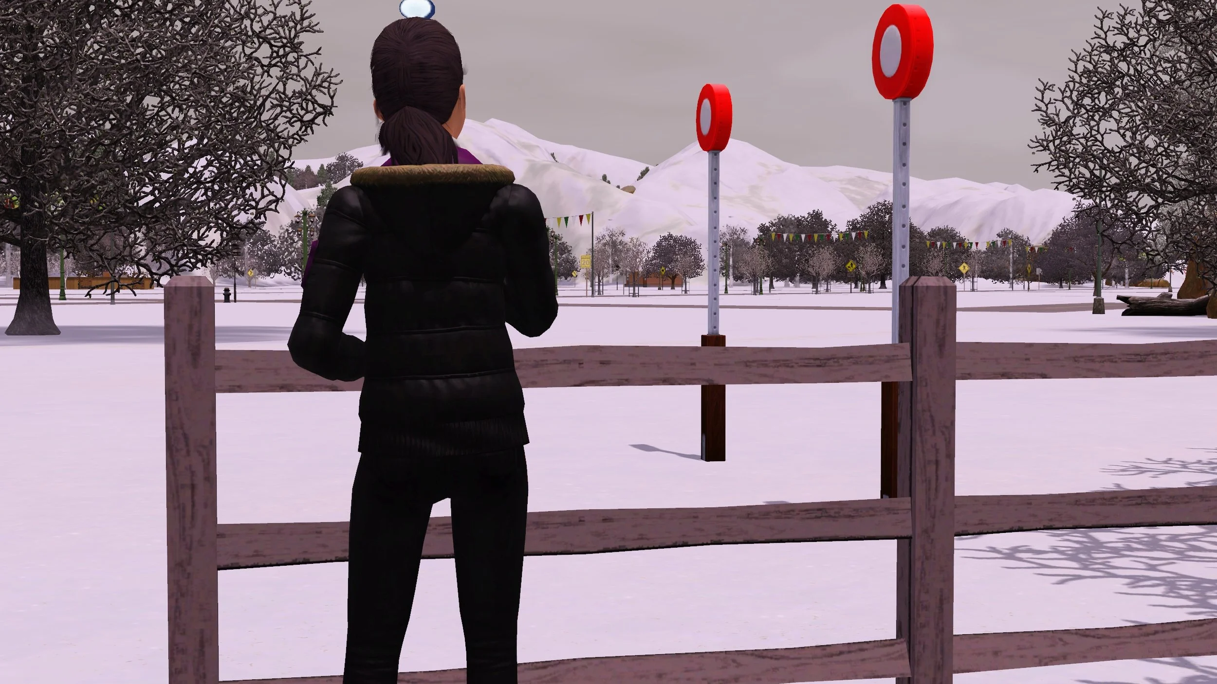 Dorothy stands with one hand on the paddock fence behind her house, facing away from the camera, looking at an empty snow-covered Appaloosa Plains, wearing a black winter coat and jeans.