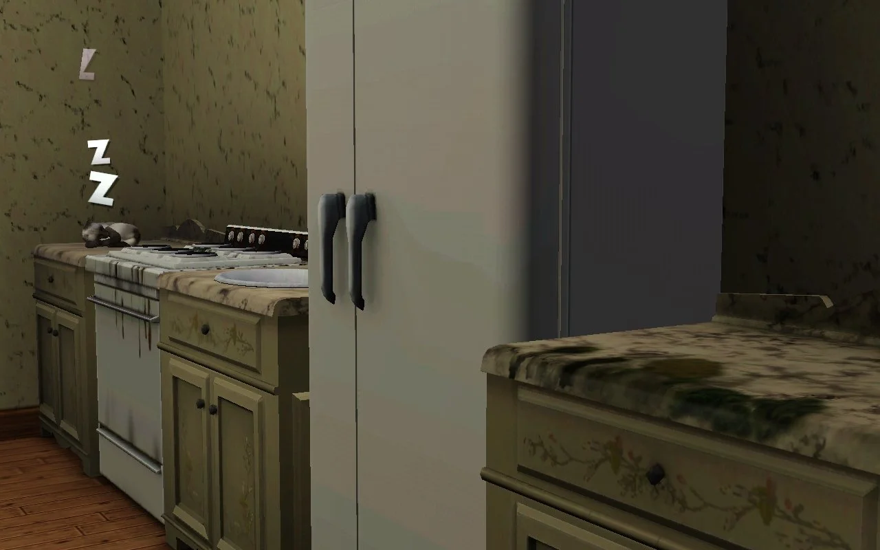 Dirty kitchen countertops and a stove shown from a close angle, with Bellatrix the cat napping atop the furthest counter.