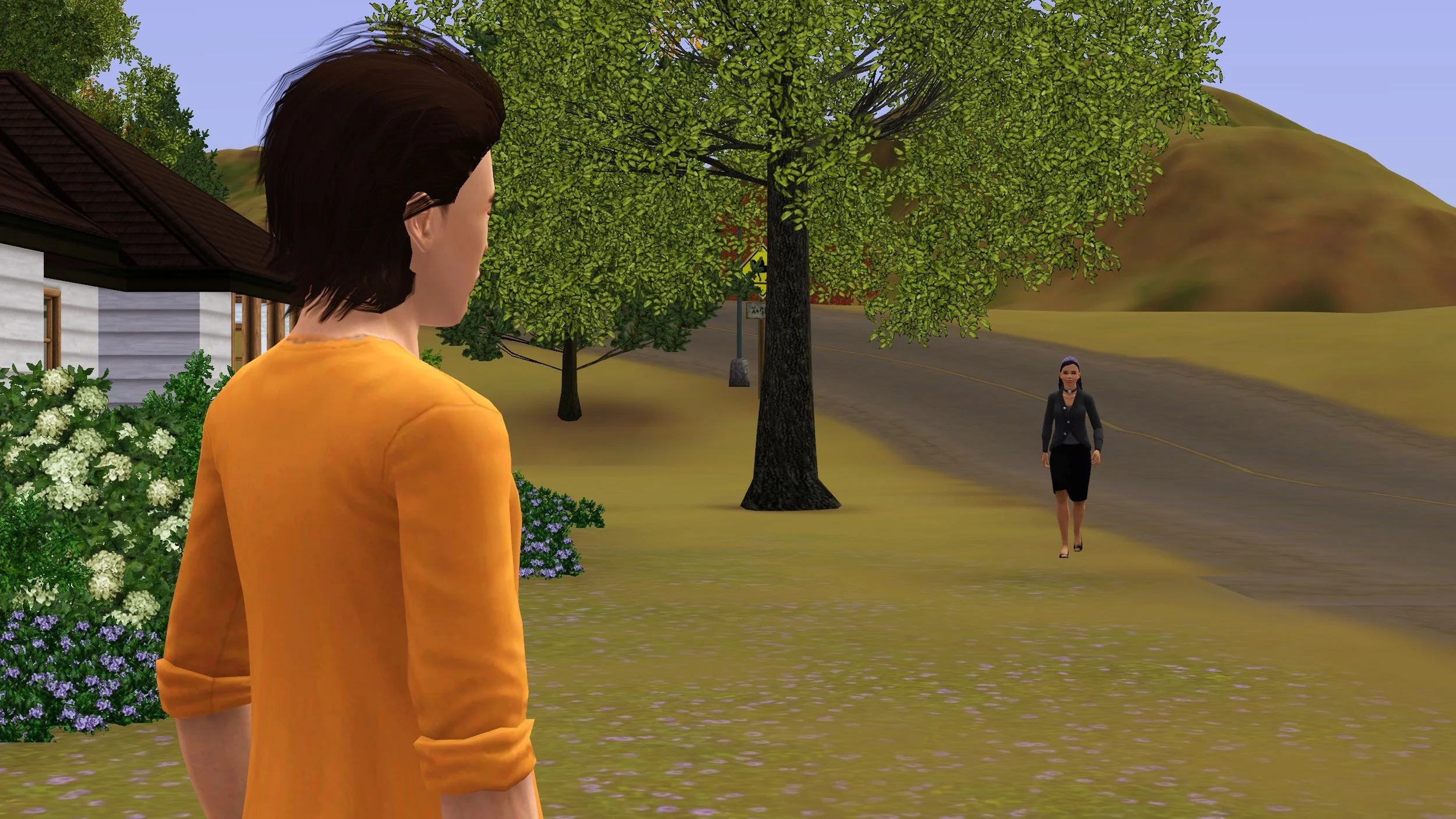 Ryker faces away from the camera, looking towards a road that goes slightly uphill (towards Cinnamon Crest Falls), as a female young adult Sim wearing all black walks towards him.