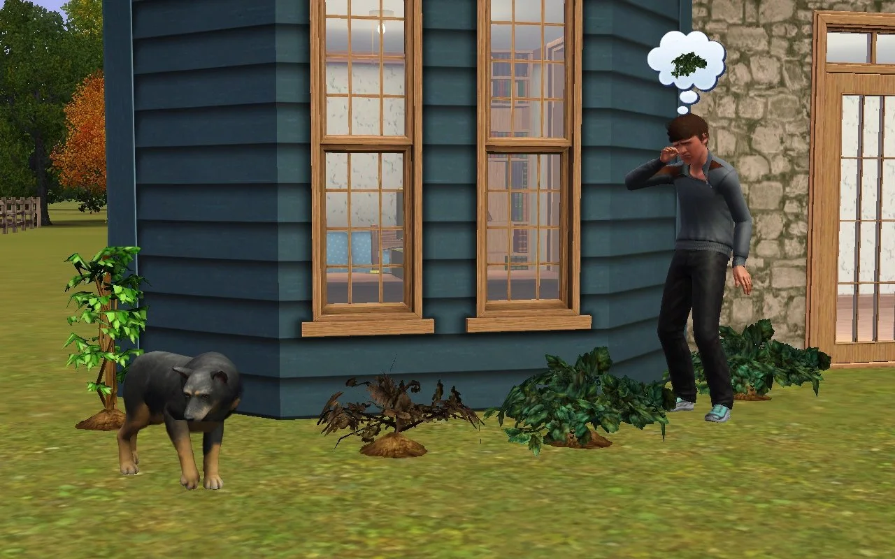 Matthew wipes tears from one eye, thinking of a plant, standing amidst 4 garden plants (1 dead) in front of his house. Senior large dog Petunia is slowly walking on one side.