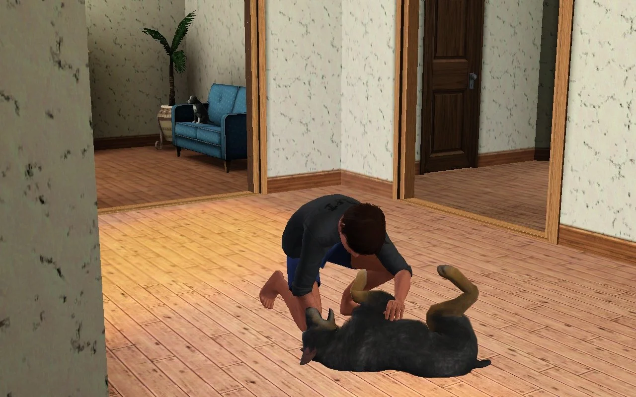 Matthew gives Petunia belly rubs on the floor while Vernon sits on a small couch in the background.