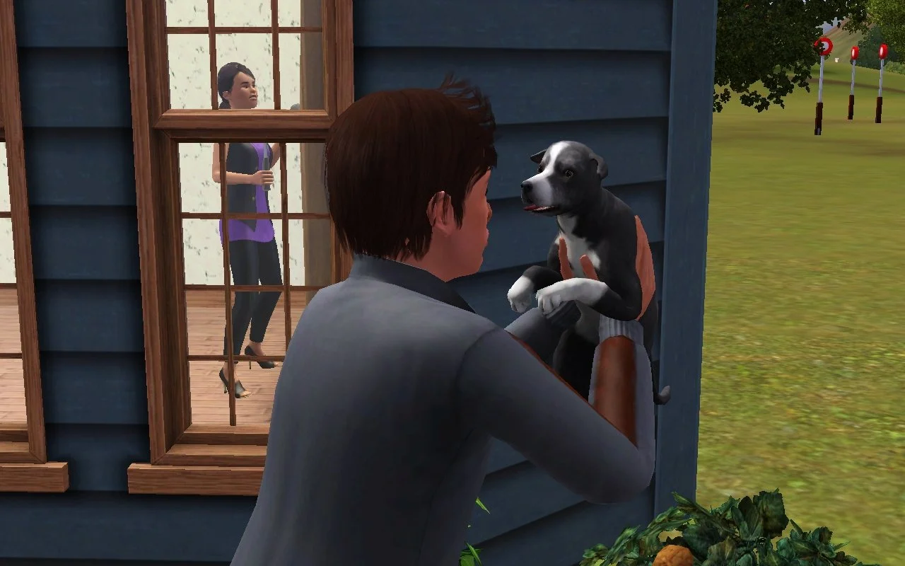 Matthew holding Vernon the dog, talking to or making faces at him, in front of their house. Through a window, Dorothy is sculpting a giant block of wood.