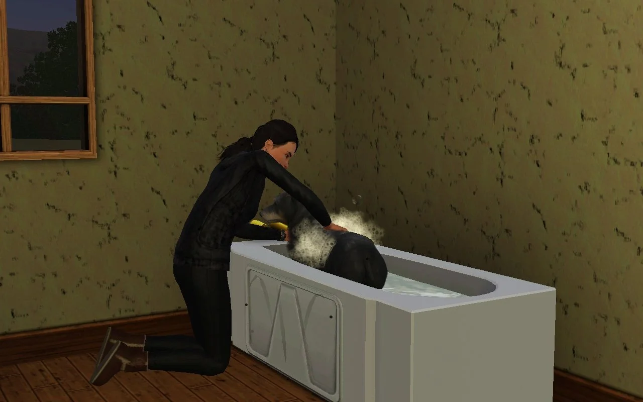 Dorothy gives Petunia a flea bath, scrubbing to create suds. She is wearing a black hoodie, pants and cozy sheepskin boots. The room is dimly lit and has damaged plaster walls.