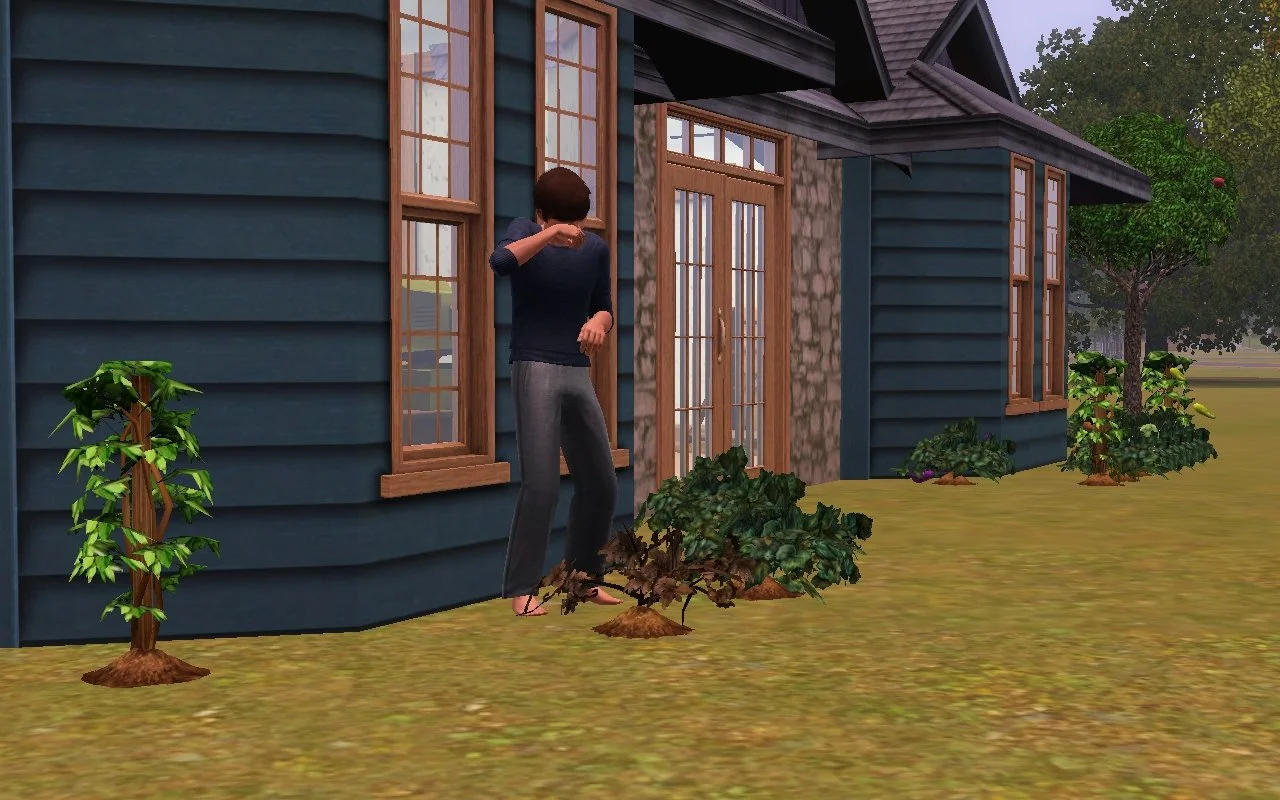 Matthew wearing pajamas or loungewear, crying as he stands above a dead plant in front of his house.