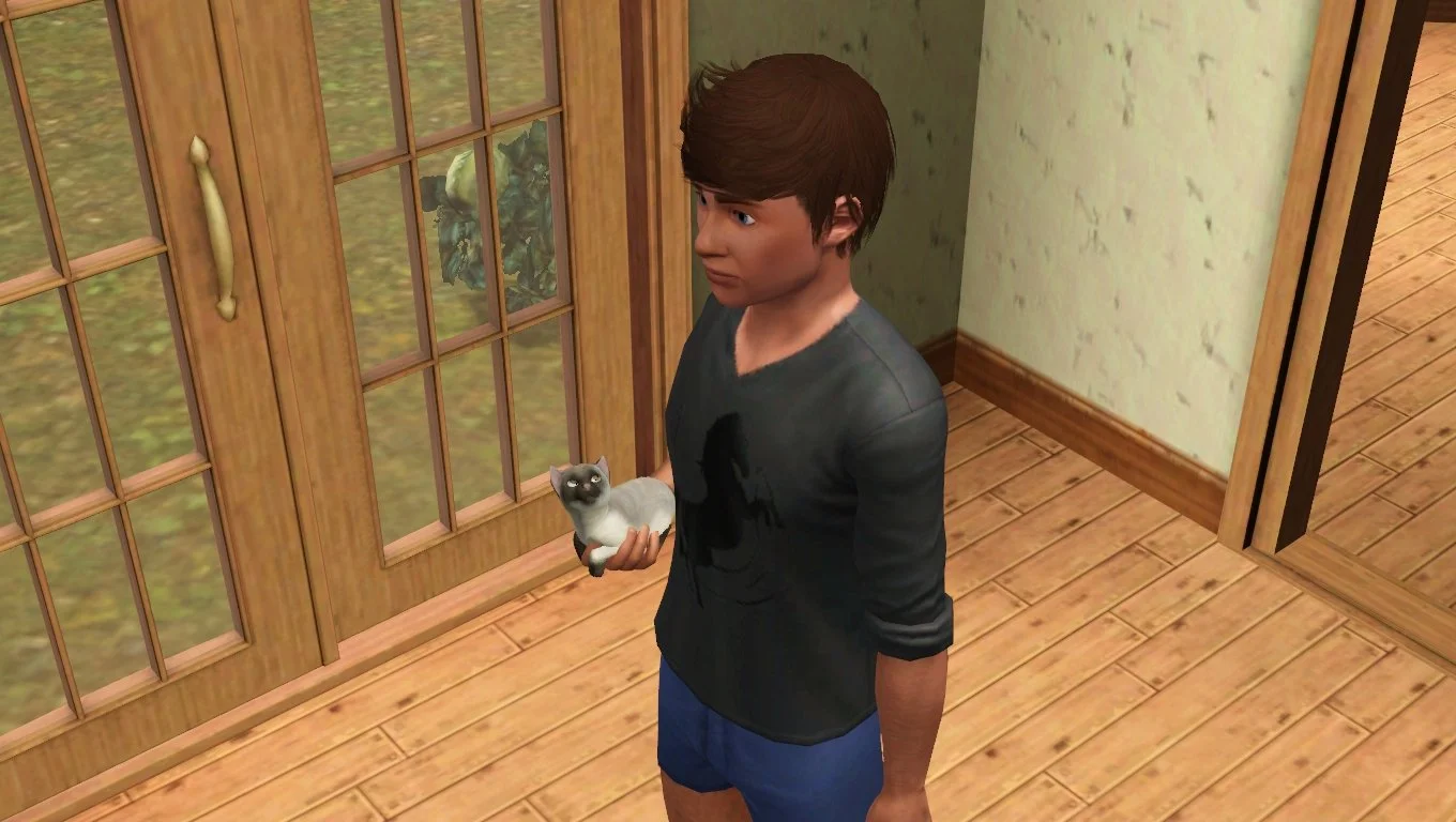 Matthew holding a kitten in one hand, its front half in his palm and back on his wrist and forearm. The kitten is looking up at him with one blue eye and one gold eye.
