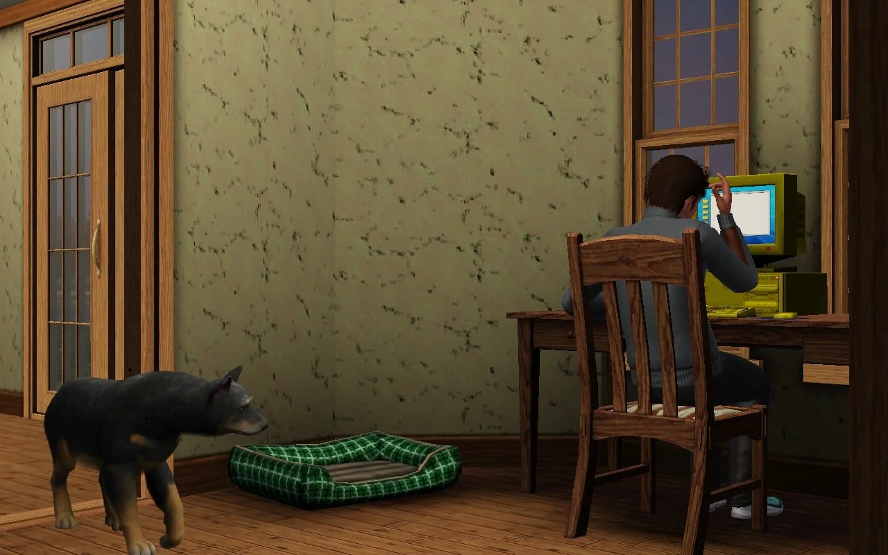 Seen from behind, Matthew sits at his computer looking at a blank document and raising a hand near his head (possibly out of frustration or to scratch while thinking). Senior dog Petunia slowly walks into the room, next to a small pet bed.