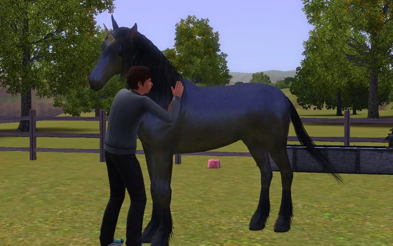 Matthew hugging Aasifa the unicorn’s neck on a sunny day, in the Button Ranch paddock.
