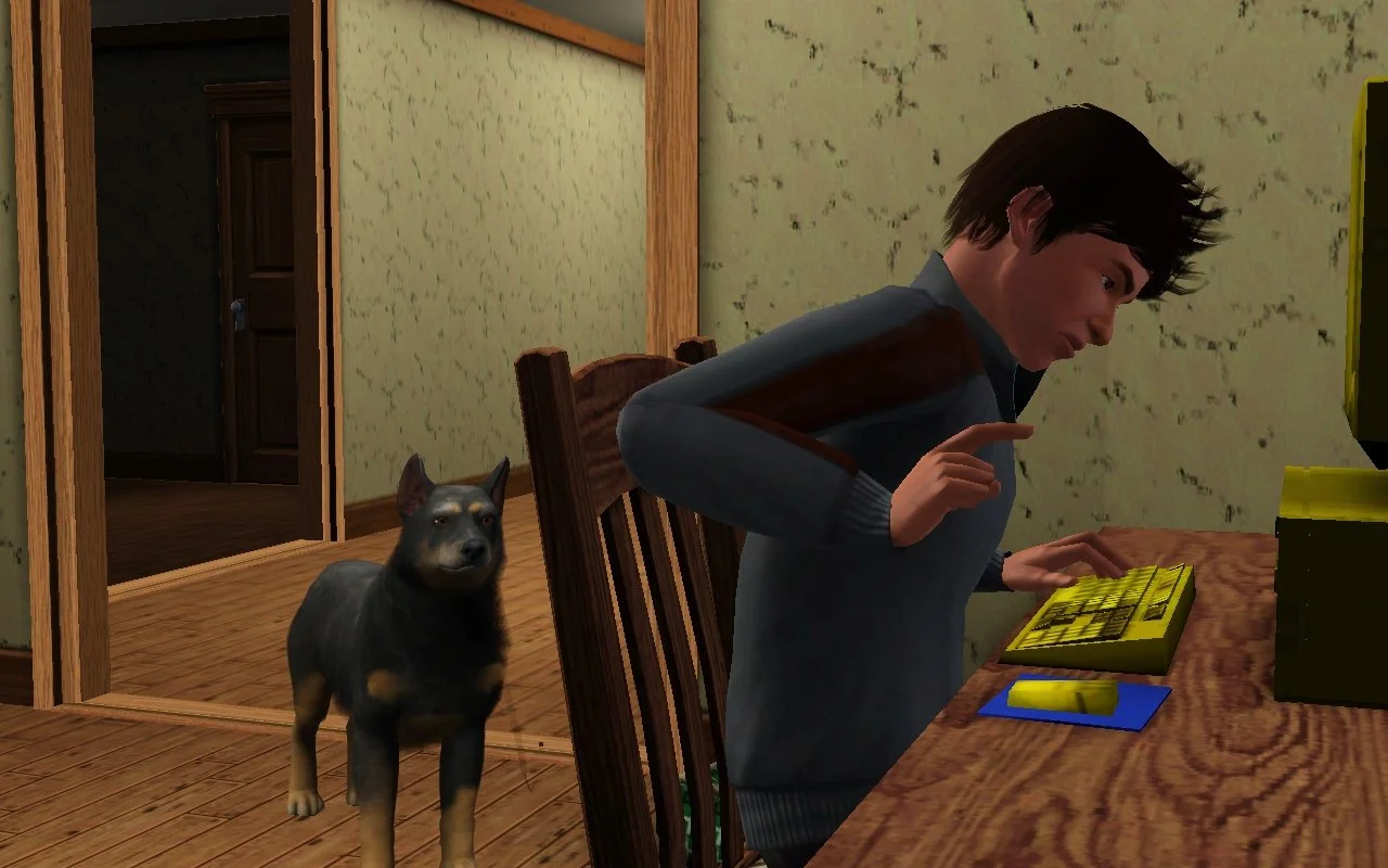 Matthew sits at his desk, angrily looking down at his keyboard with a raised hand, as though about to hit it or the desk. Senior dog Petunia stands behind him, watching.