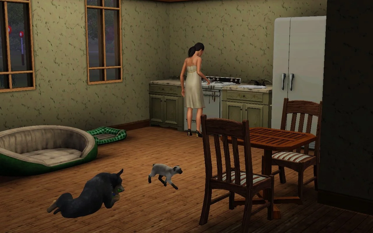 Button Ranch kitchen: dirty counters & stove, 2 cheap wood dining chairs & table, 2 pet beds, damaged plaster walls. Dorothy cooks at the stove in a maternity dress; large dog Petunia chews on a toy on the floor; cat Bellatrix walks across the room.