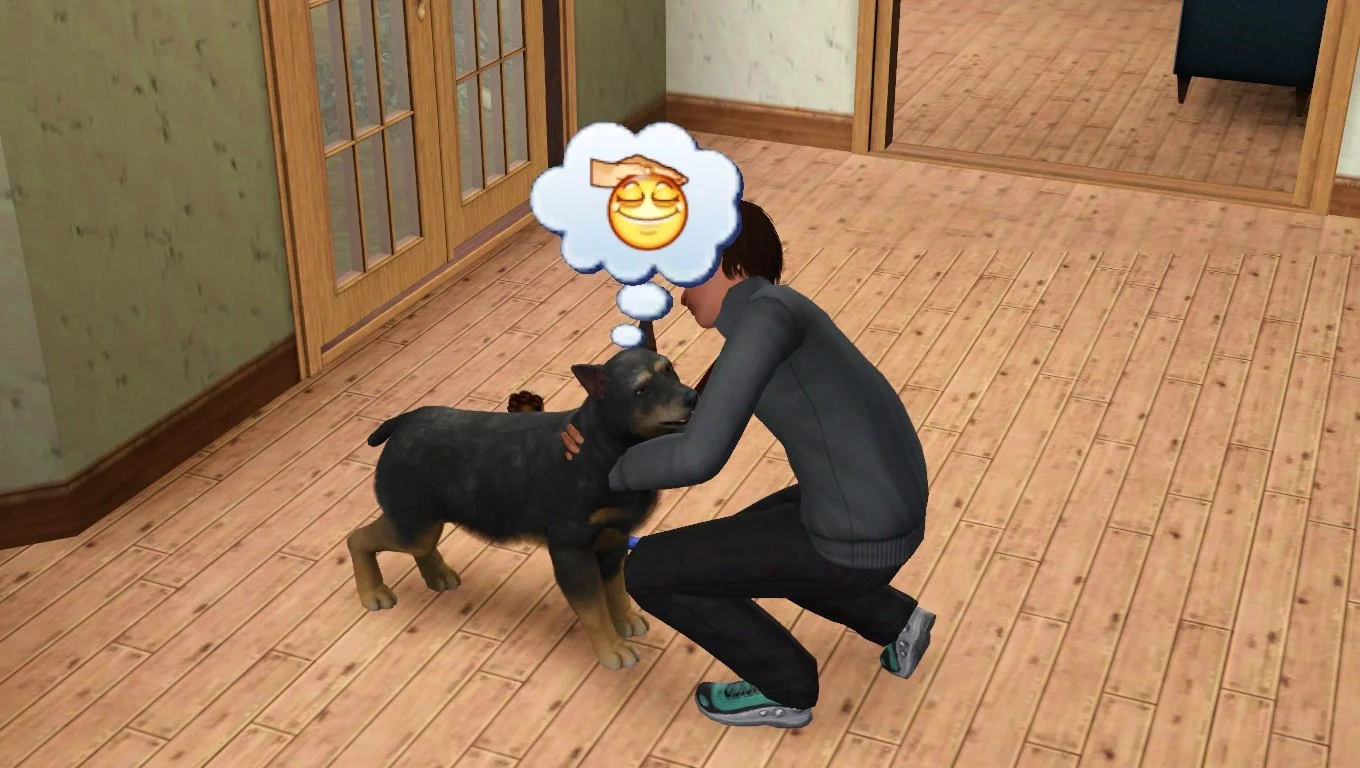 Matthew kneels on a wood floor, brushing Petunia the large black and tan dog, whose paws and muzzle have some gray fur due to her age. Petunia has a thought bubble above her head, with the icon for enjoying being petted.