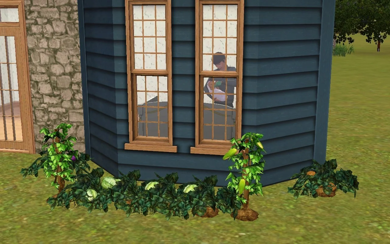 Through some of the windows at the front of Button Ranch above a row of garden plants, Matthew bottle feeds baby Mara facing her crib and the windows.