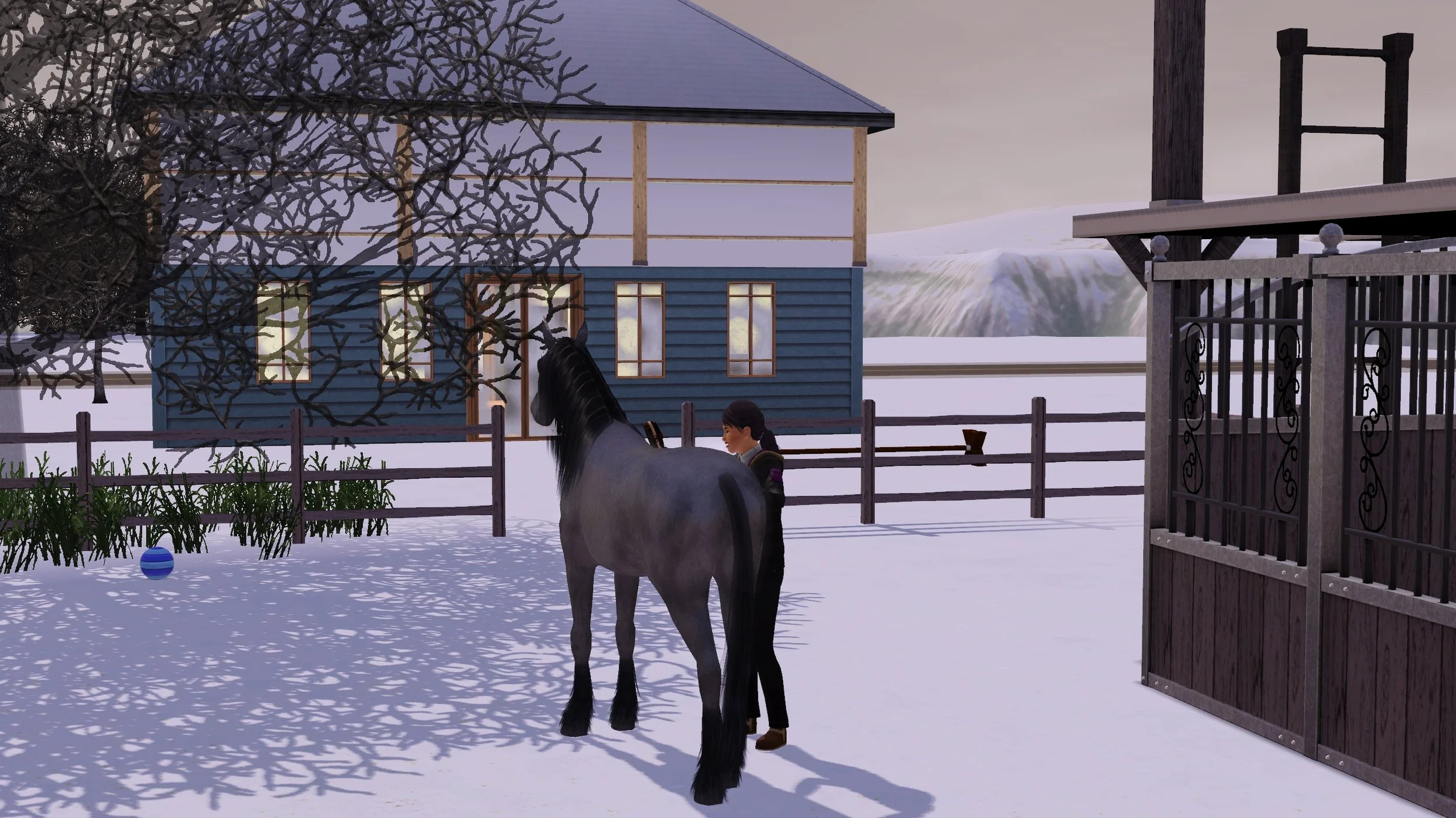 Dorothy brushes Aasifa the unicorn in her paddock behind the Button Ranch house on a winter day with snow on the ground. Behind them, the house’s new 2nd storey has wood framing, air barrier sheets & a roof, but no visible windows yet.