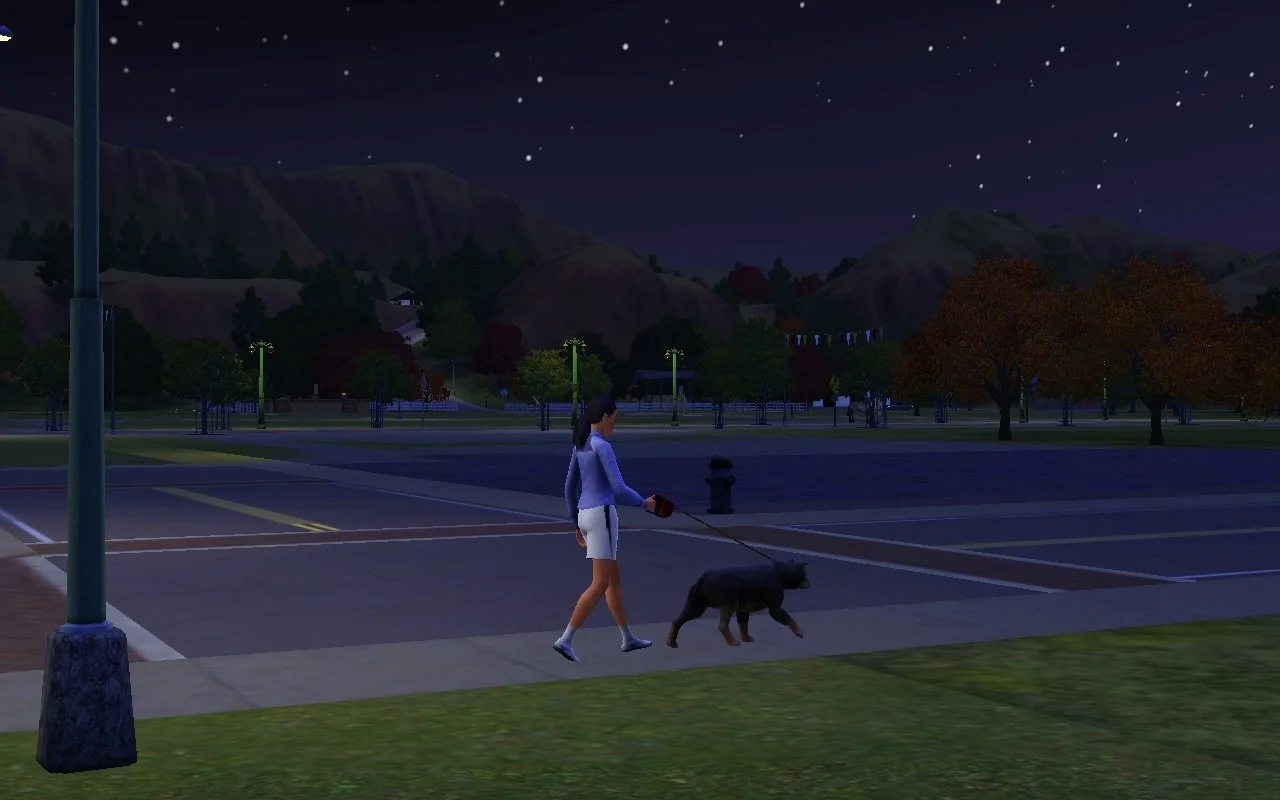 Dorothy walks Petunia on a leash past an empty would-be downtown area of Appaloosa Plains, on a clear evening with stars in the sky. Structures are visible on 3 distant lots: a wooden fence, and 2 small homes.