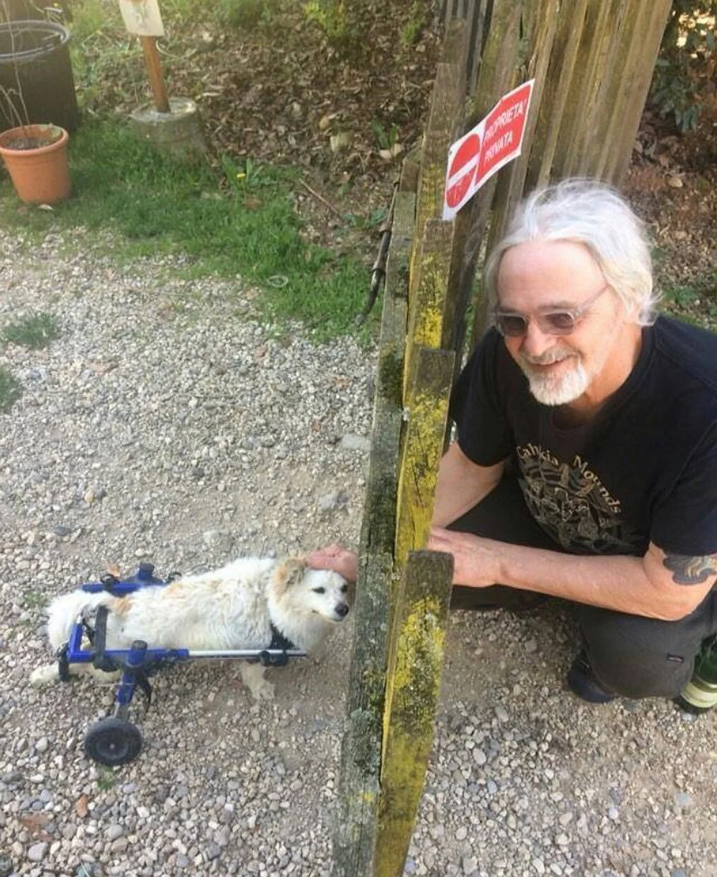 Rest easy Terry Turtle - link is in our bio for terry&rsquo;s memorial fund - glove family is sending thoughts and love to friends and family -  Terry Turtle, our beloved, brilliant, and beautiful brother has passed away after a brief battle with an 