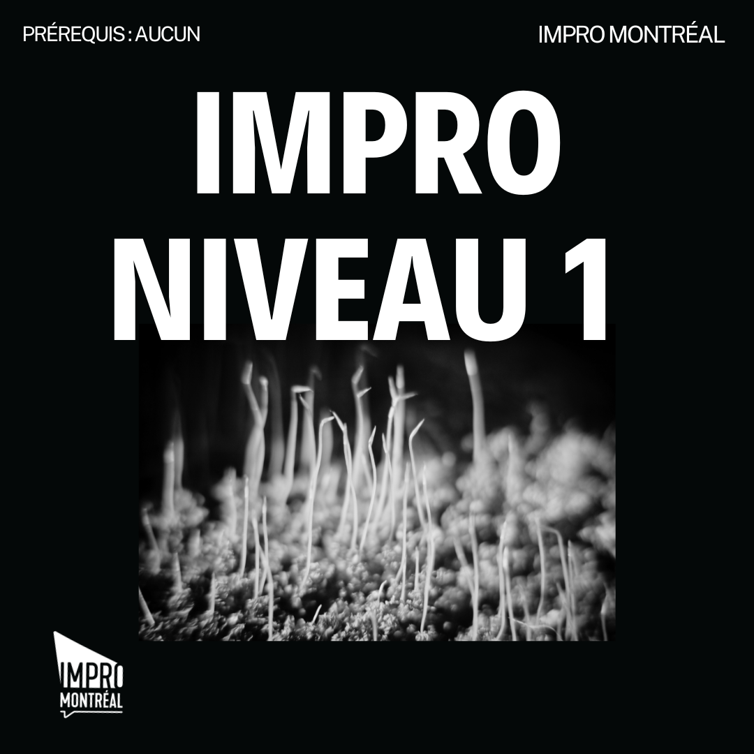 (French) Level1Graphic.png