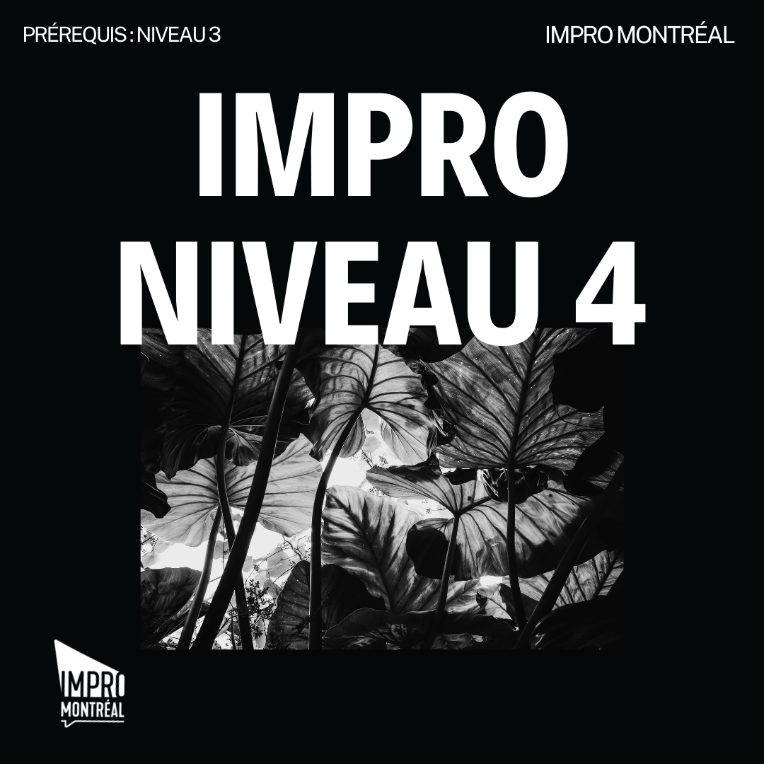 (French) Level4Graphic.png