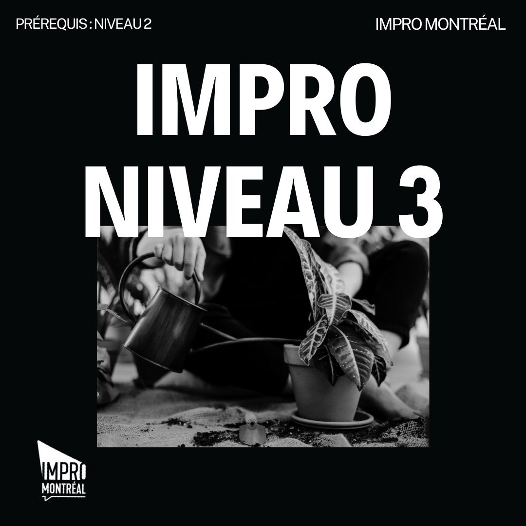 (French) Level3Graphic.png