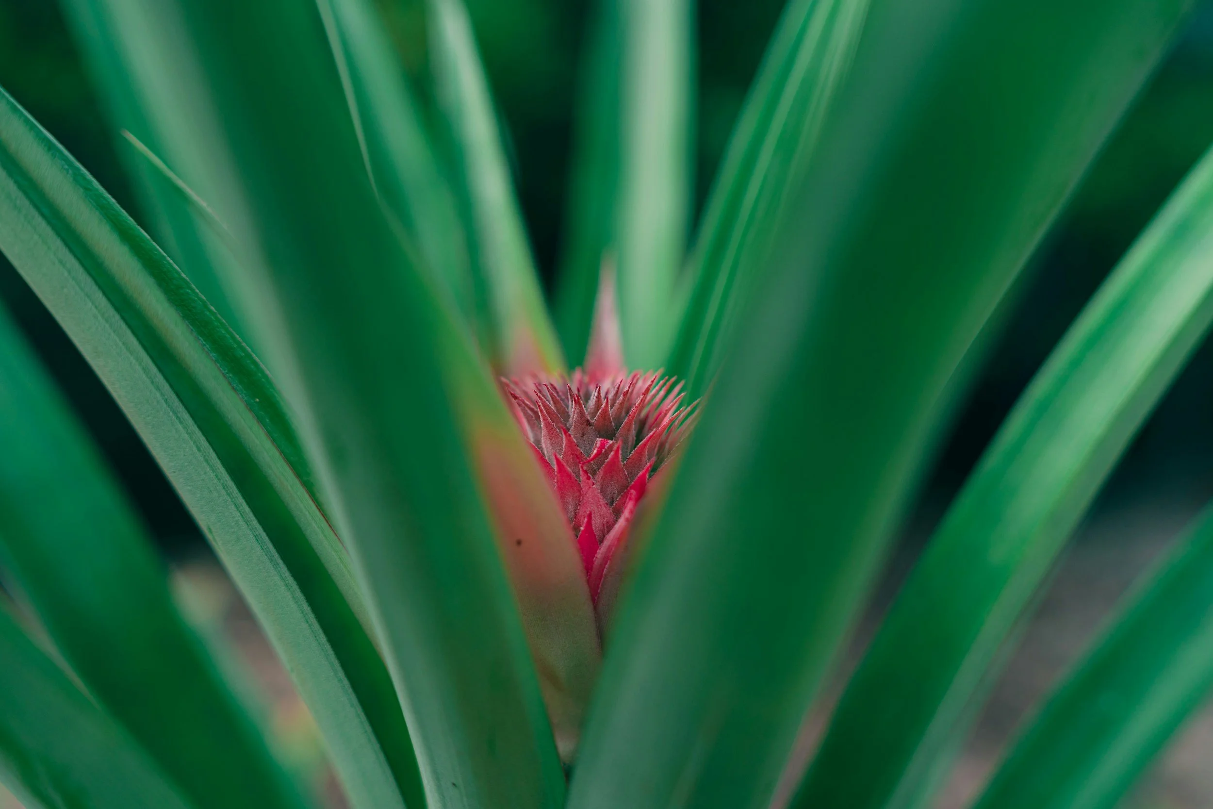 unsplash-image-zAX2Z6C8cHE.jpg
