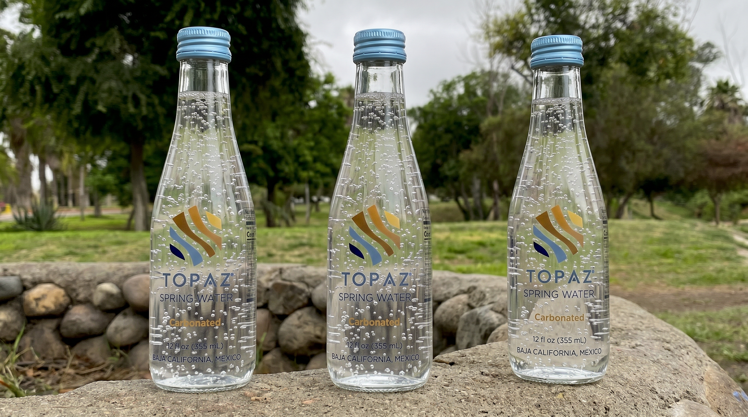 Carbonated (355 mL)