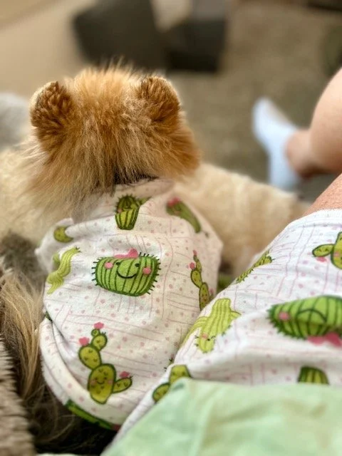 charlie cactus shirt.jpeg