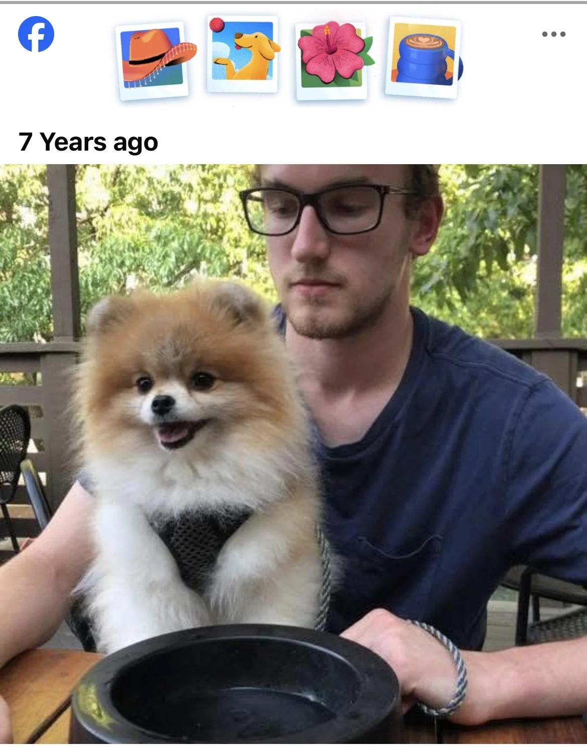 Oliver1.JPEG