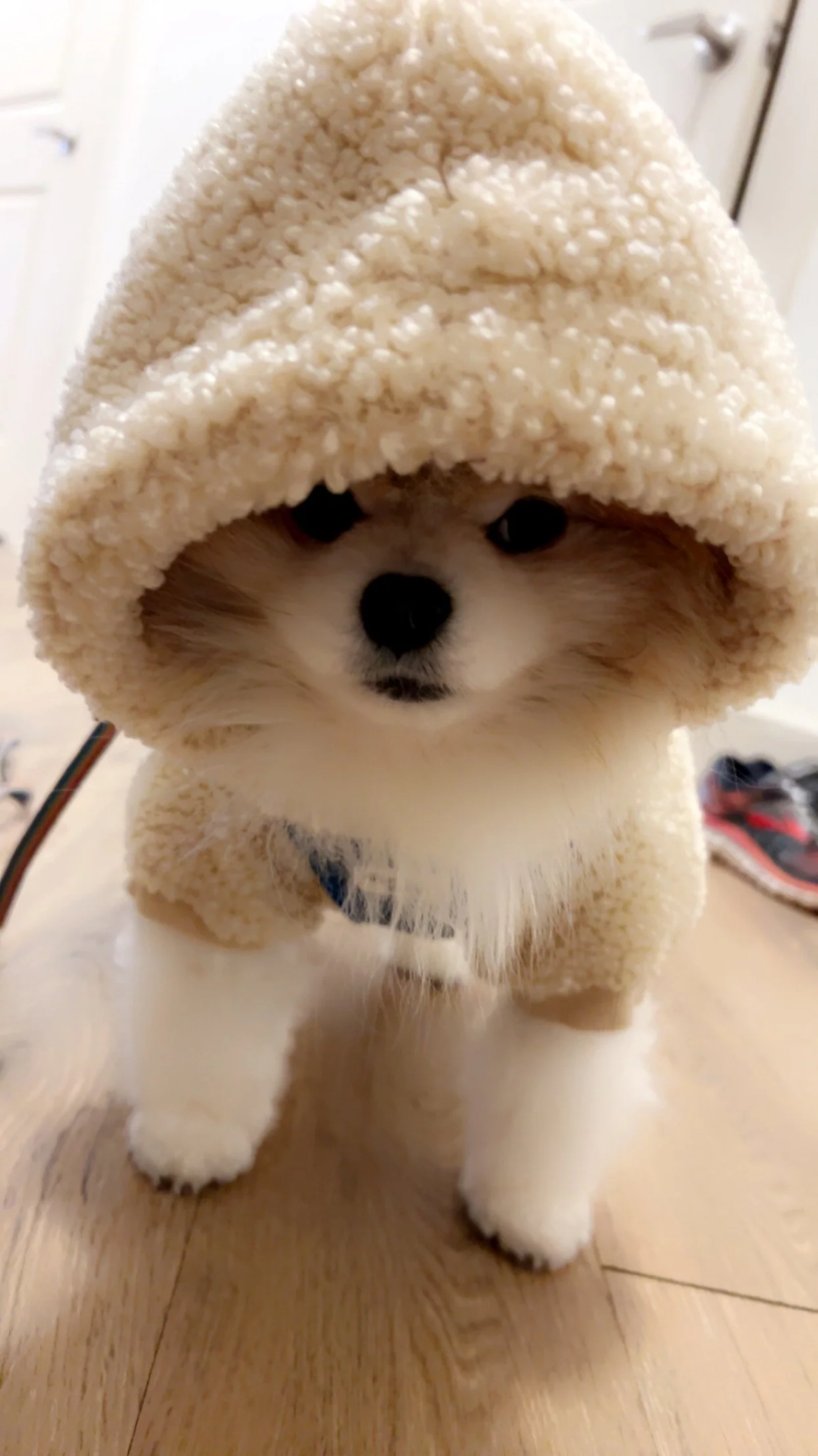 IMG_1613.JPEG