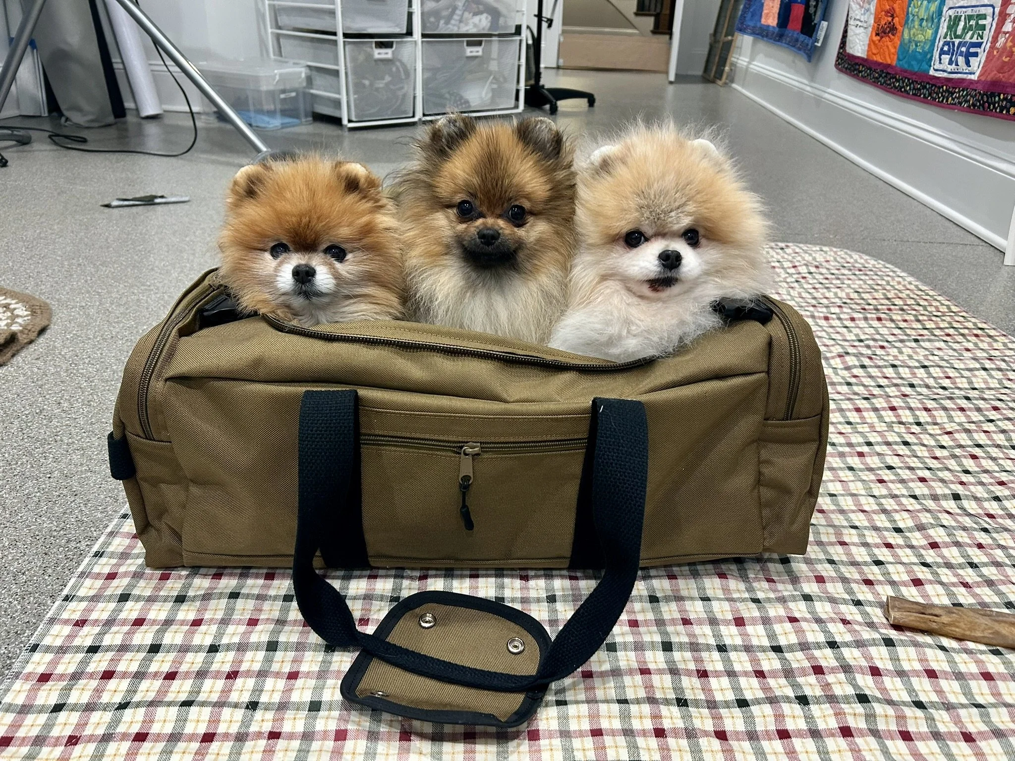 Group Shots