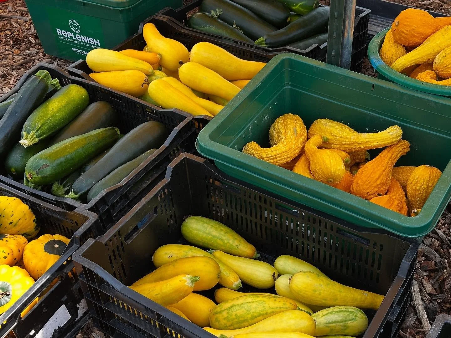 The harvest totals for this season are increasing every day!