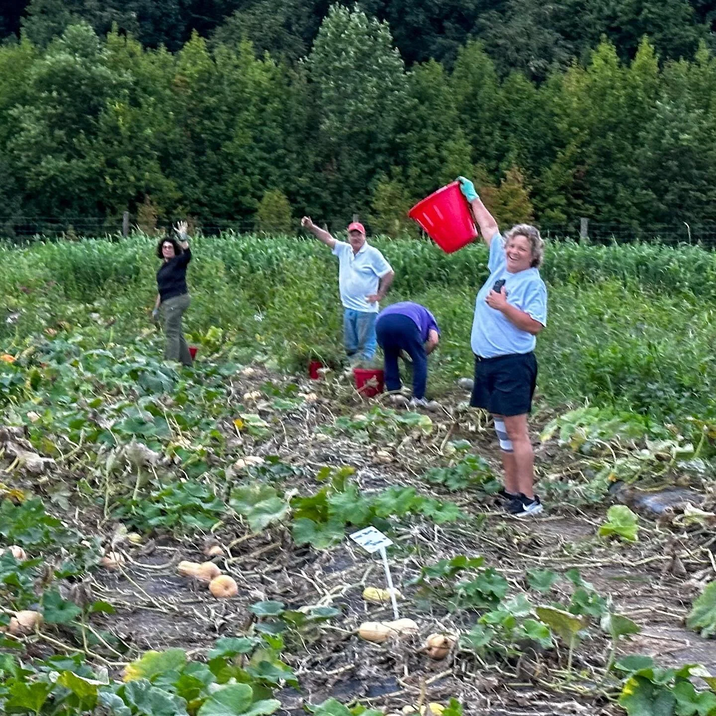 PLEASE SUPPORT US. Rows for the Hungry&rsquo;s mission is to grow fresh, first quality produce for the food insecure. This year we grew over 19,000 pounds of fresh produce distributed to our partners at Replenish - the Middlesex County food bank shar