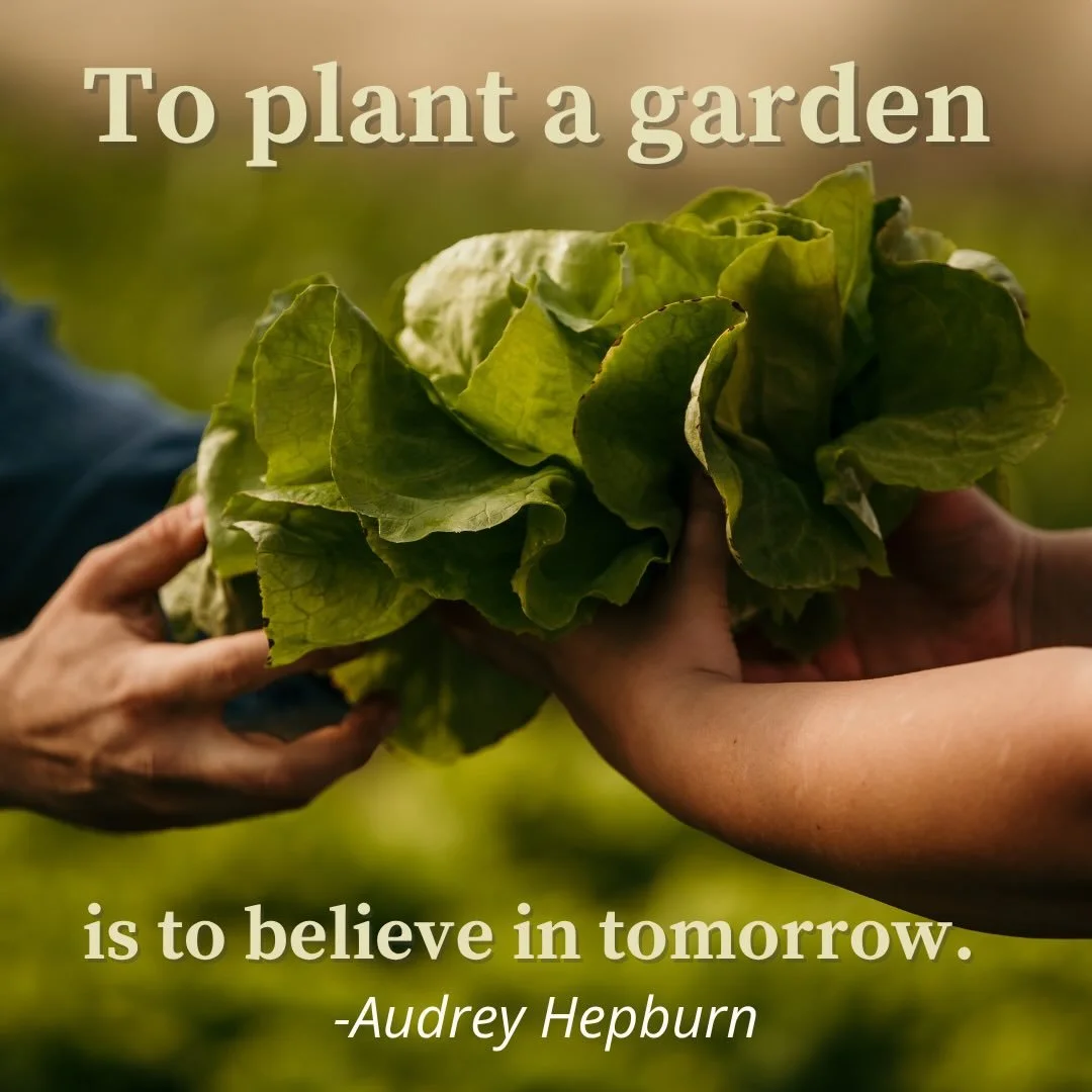 If you have not yet, please consider donating to our Seed Money Challenge Fundraiser. This Link is in our bio. https://donate.seedmoney.org/12238/rows-for-the-hungry