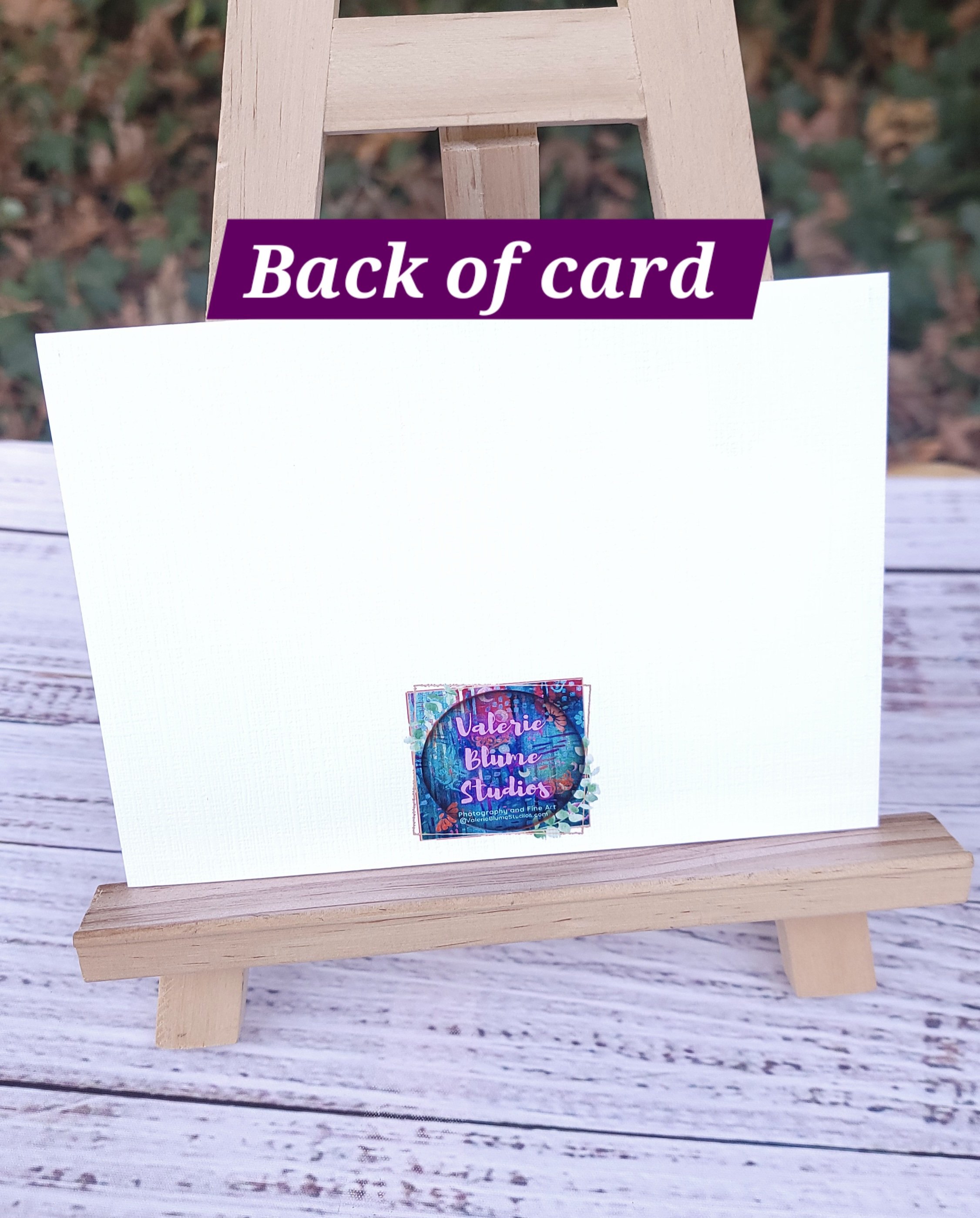 back of card.jpg
