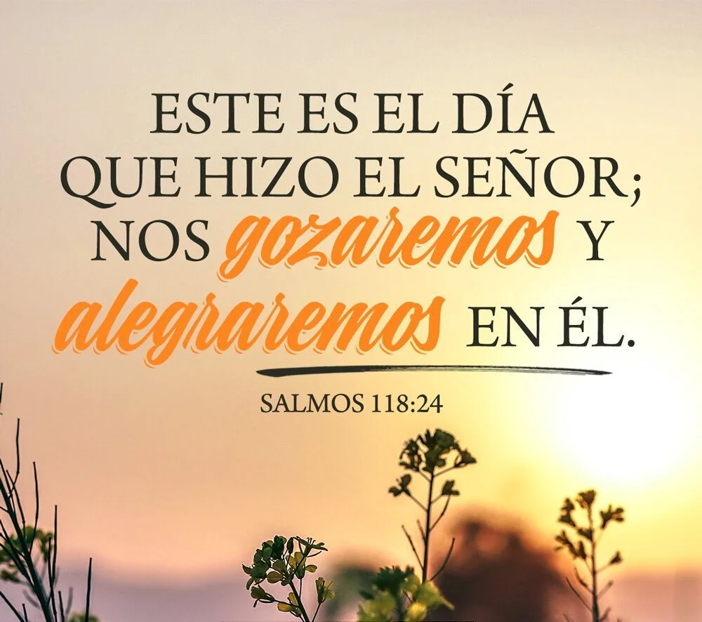 ¡Hola!, todavía estoy aquí