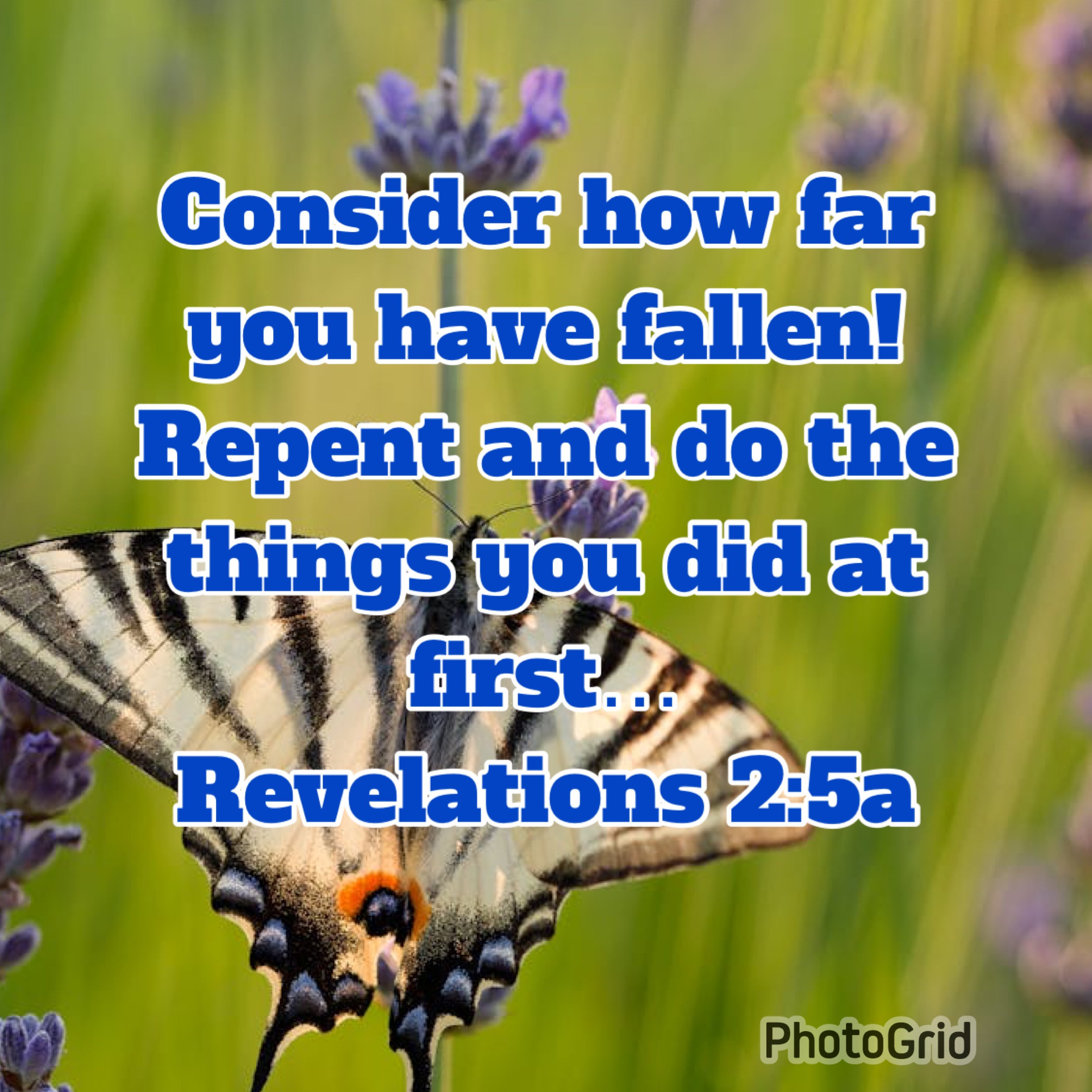 Thought for today #2