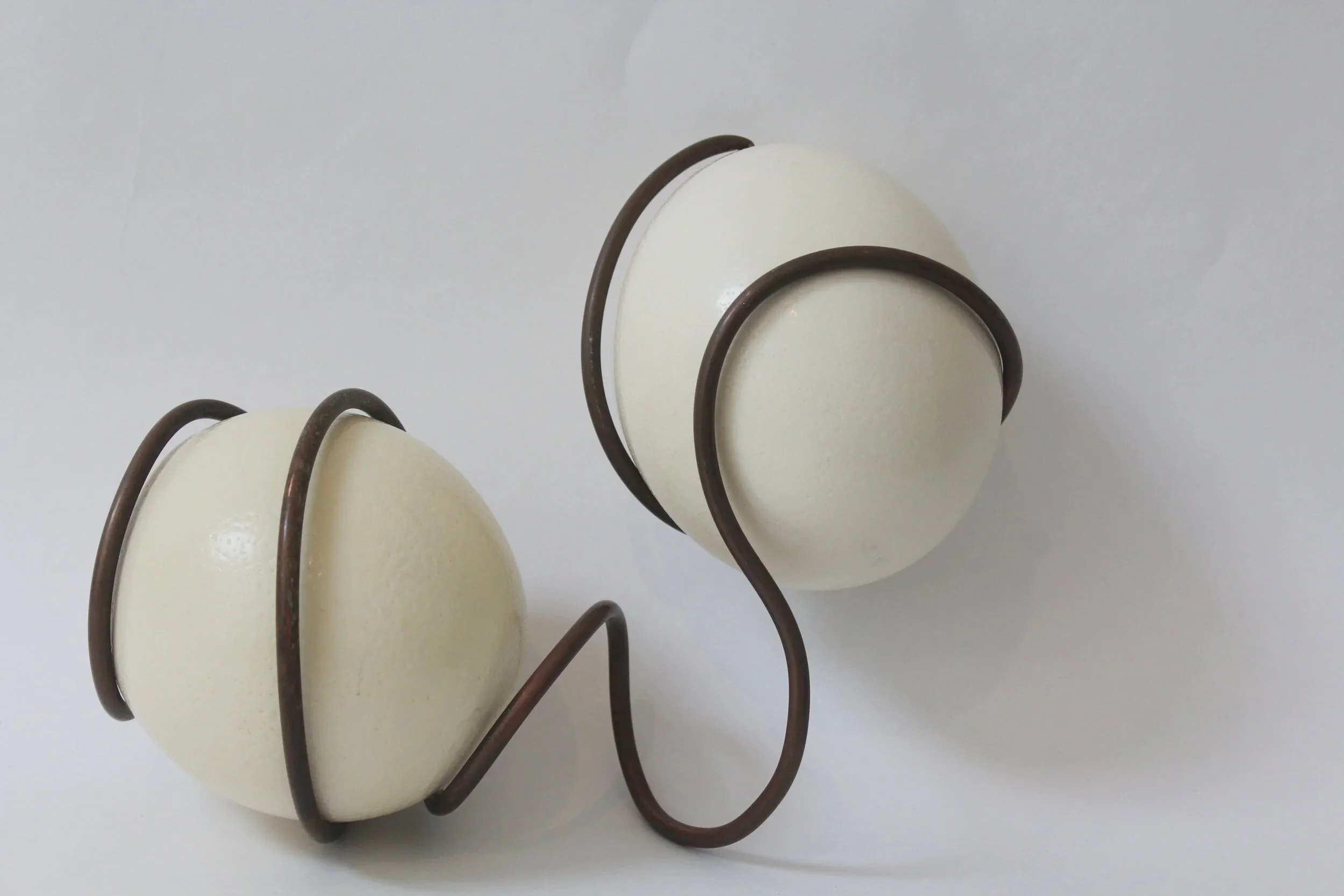 ostrich+eggs+2.jpg