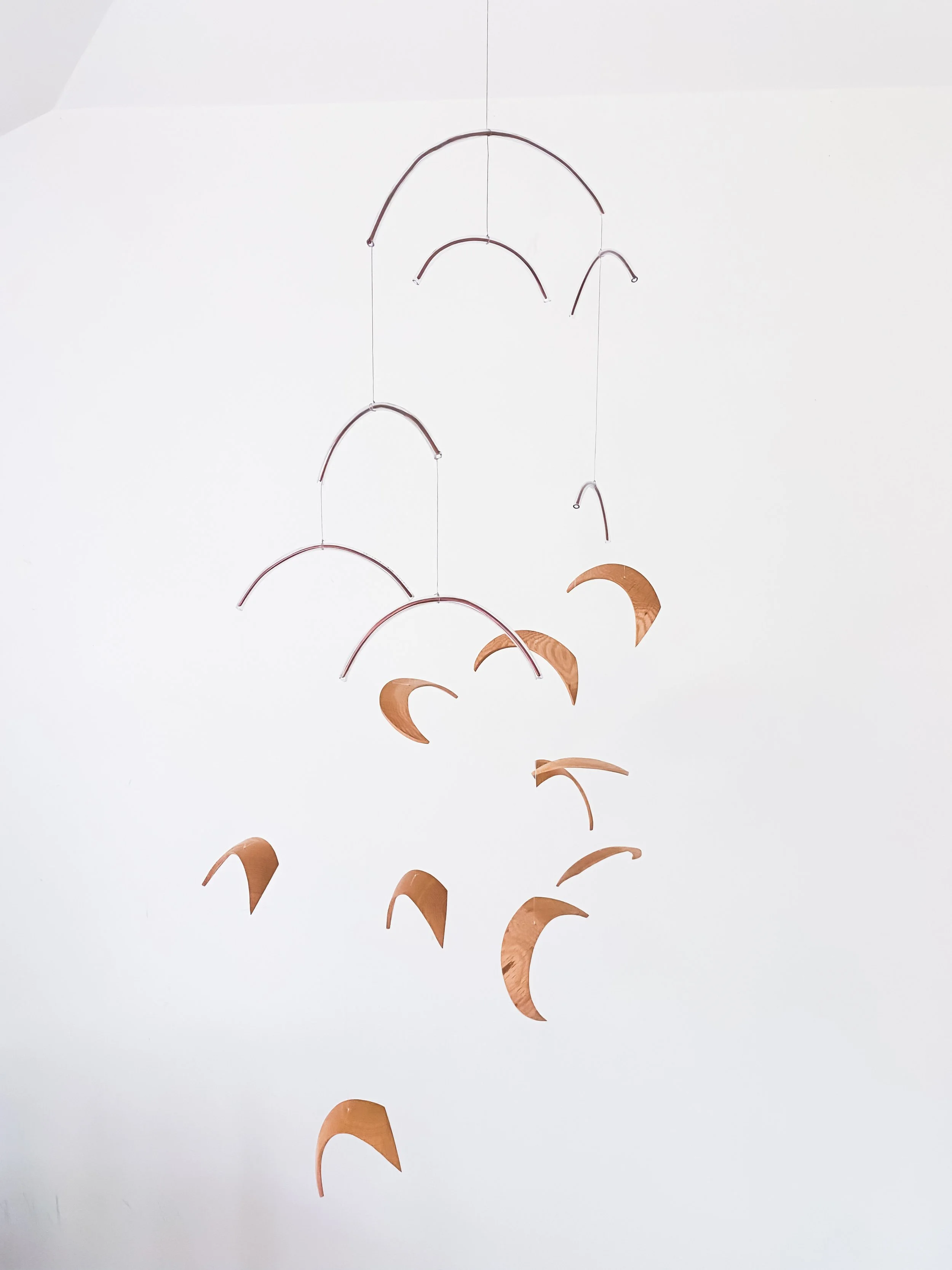 Flock-Kinetic-2.jpg