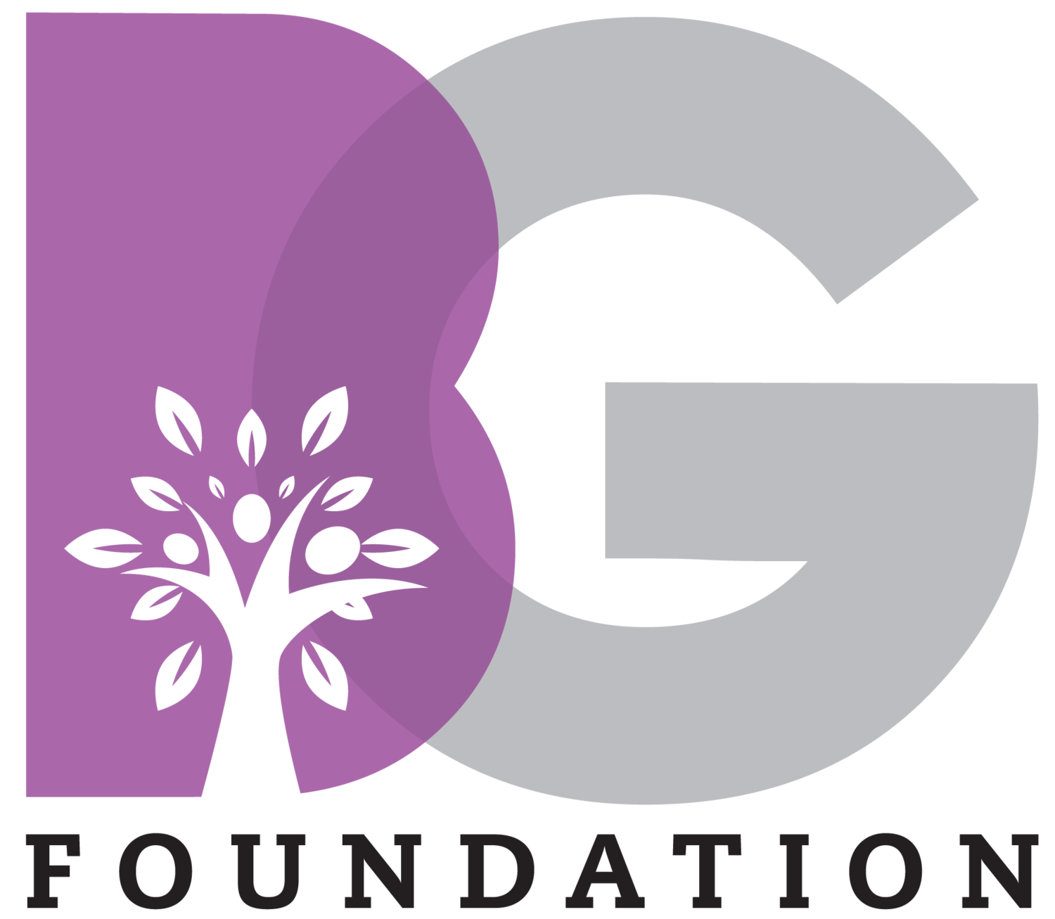 The Bingham Group Foundation 