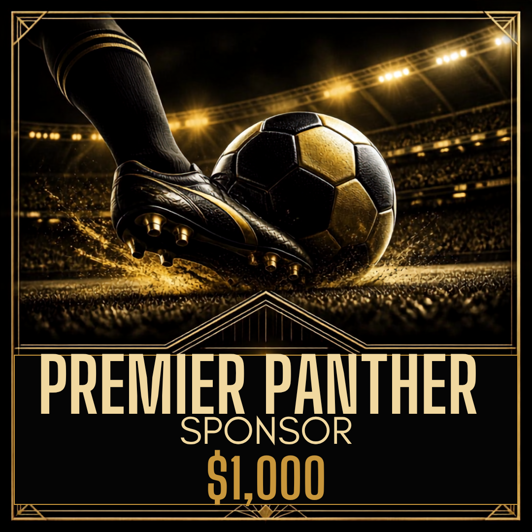 Sponsorship Level Graphic.png