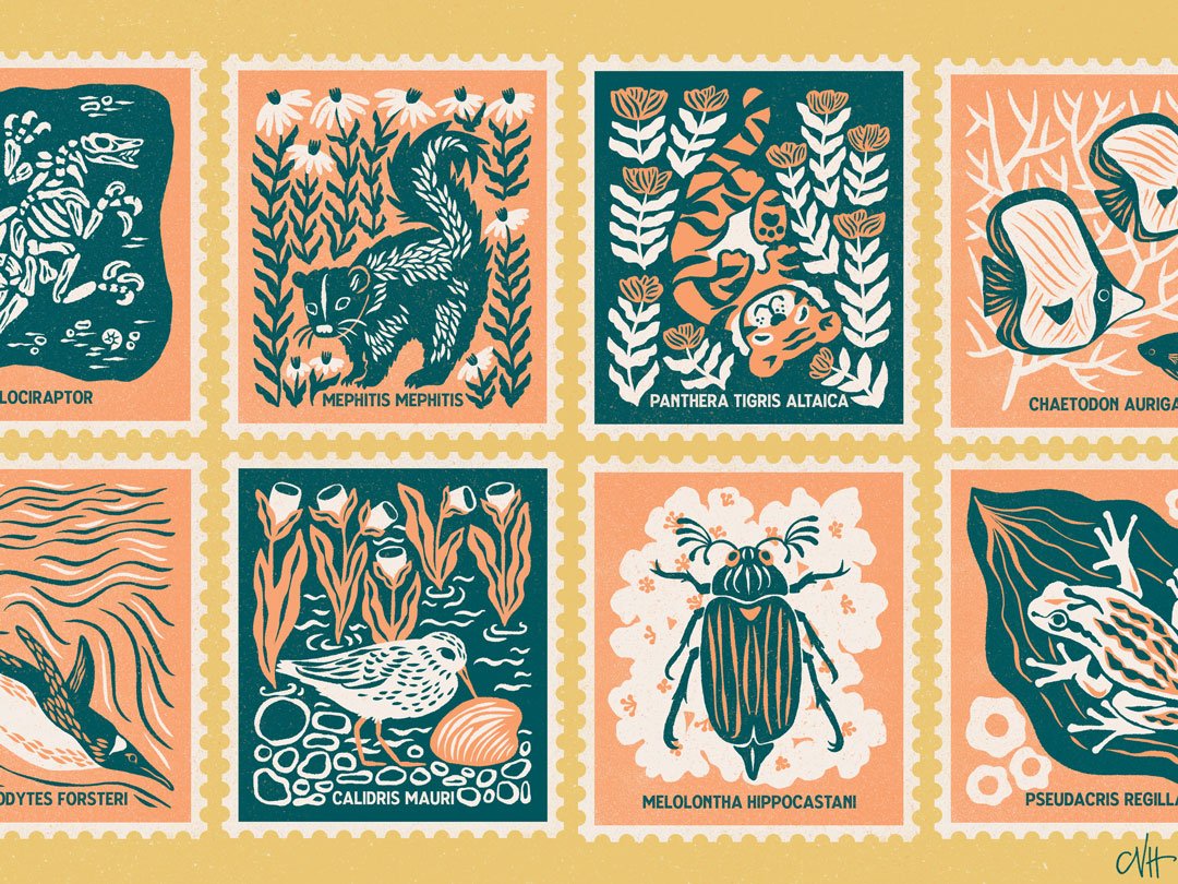 Animal Stamps — Chrissie Van Hoever Design & Illustration