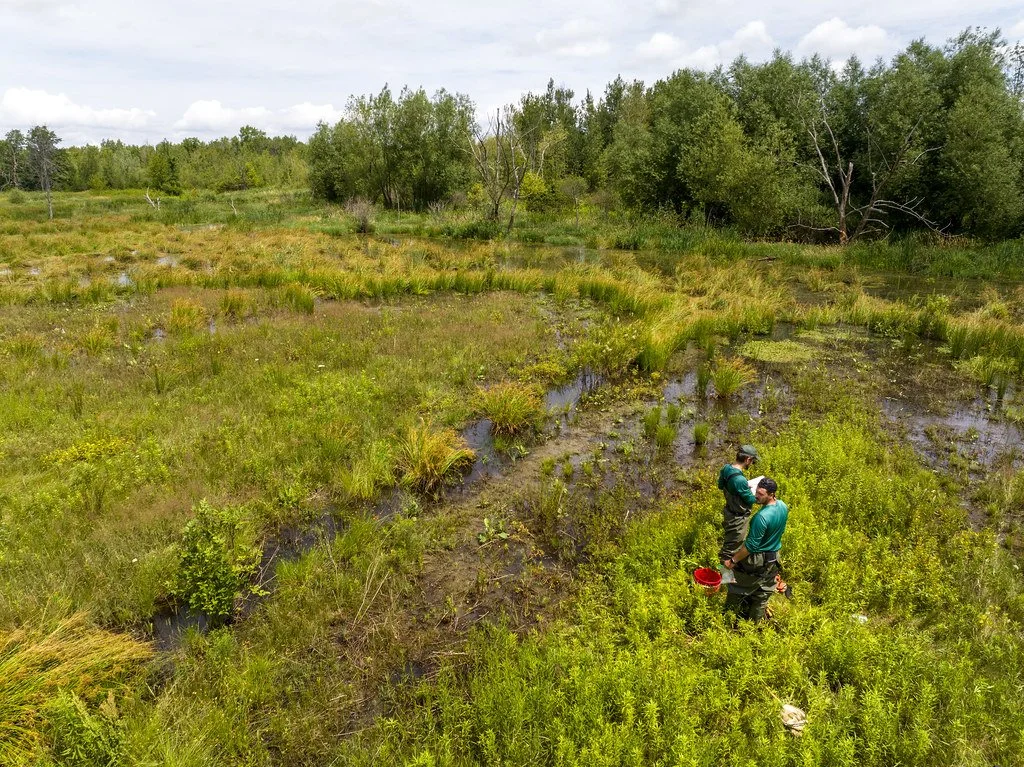 Supporting Boots on the Ground: ILI’s New First Nations Stewardship Fund for Guardians