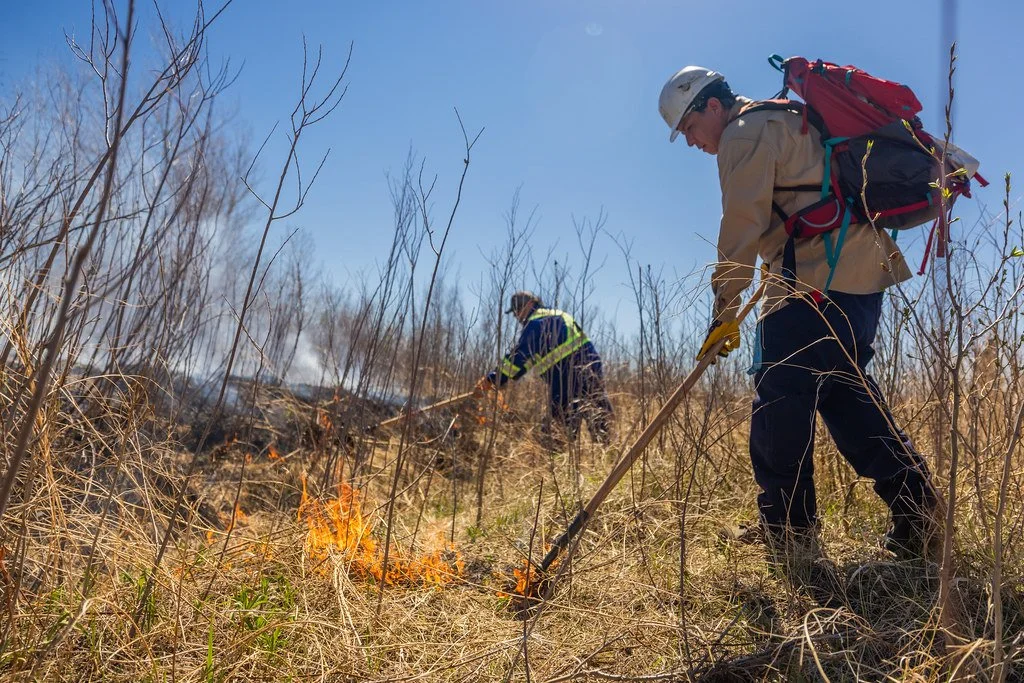 New Poll: Canadians Resoundingly Support Indigenous-Led Solutions to Wildfire