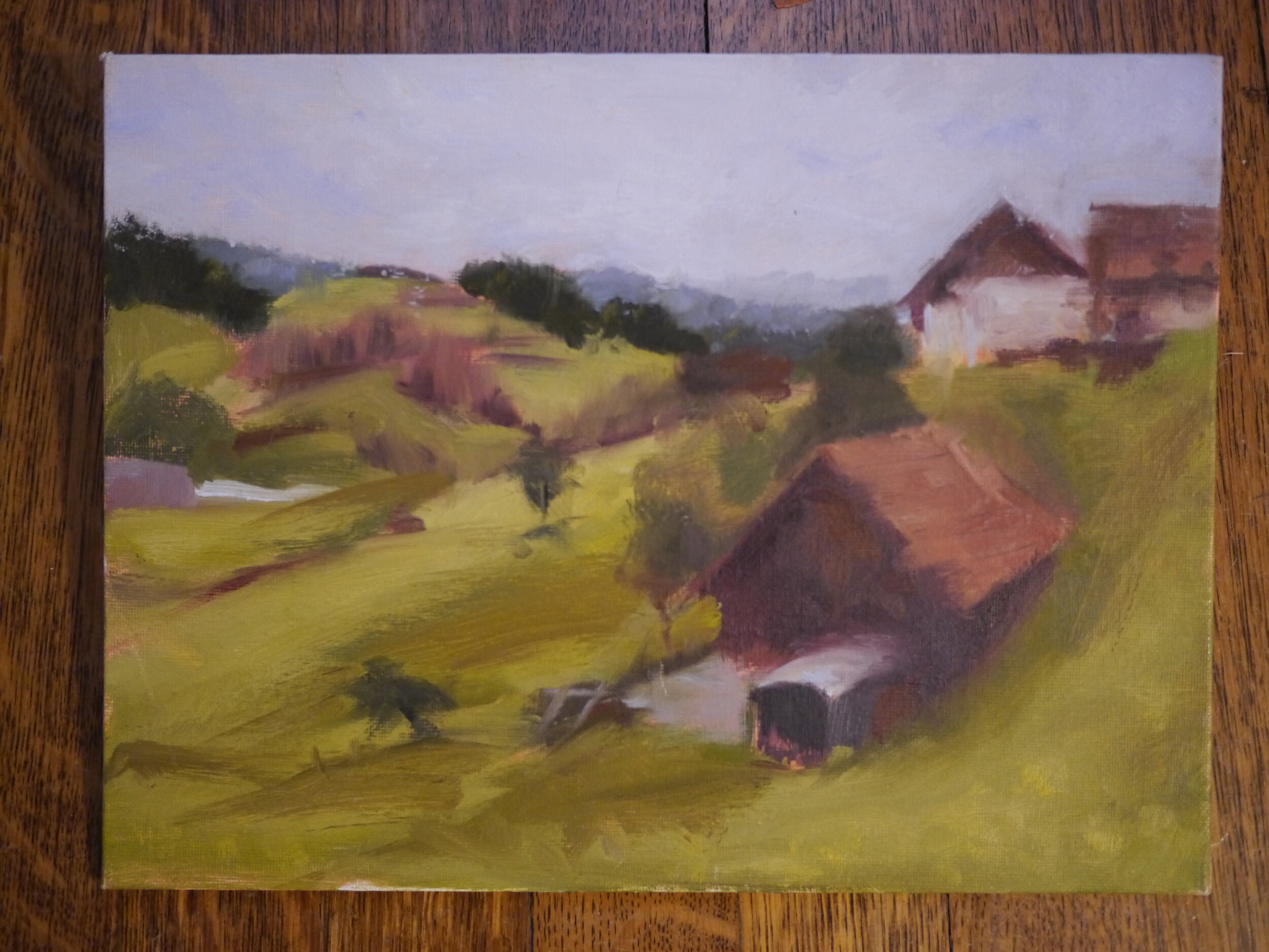 Farm houses in the Black Forest hills