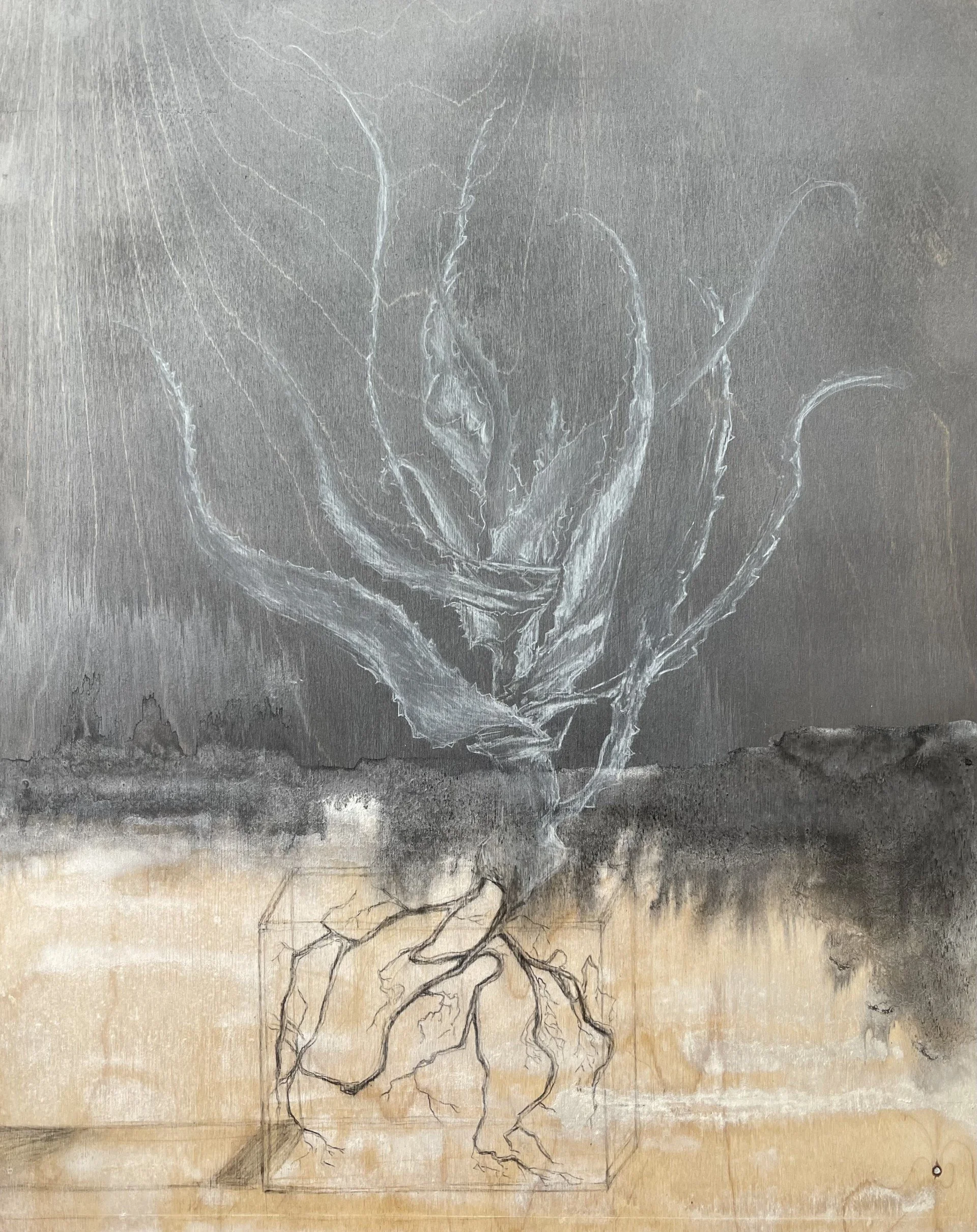Holographic Aloe 20 x 26 ink and charcoal on hardboard 2026