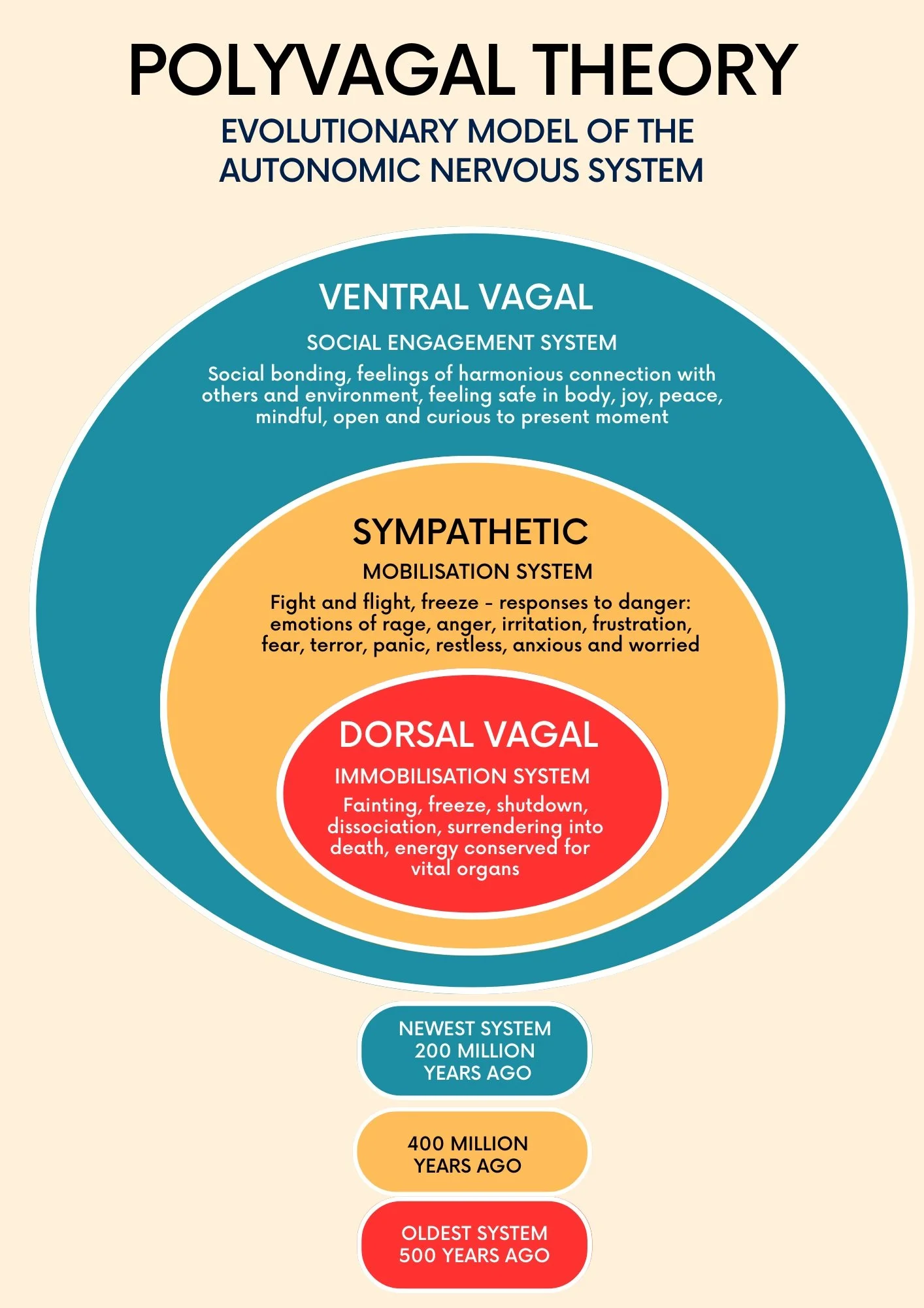 polyvagal nervous system healing in St. Charles, Batavia, and Geneva, Illinois.