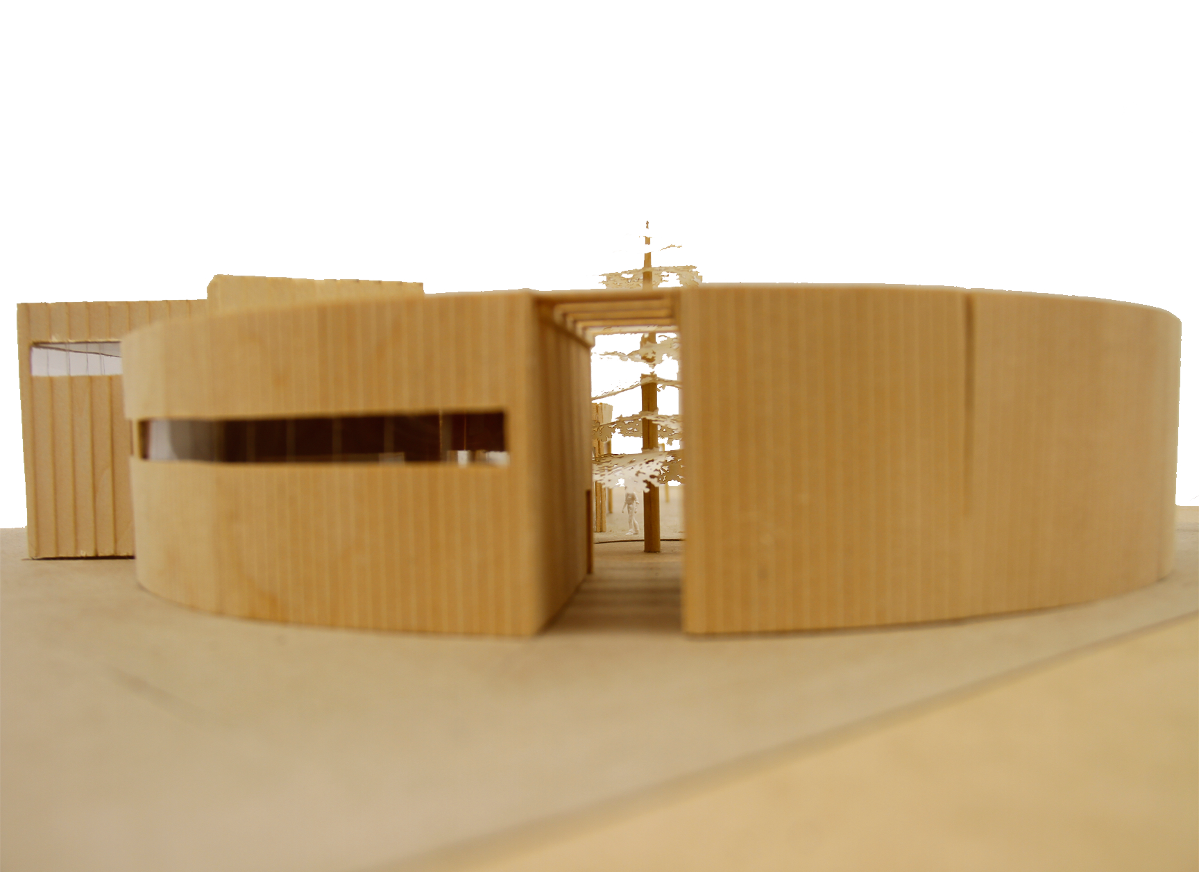 pic6 - Copy.png