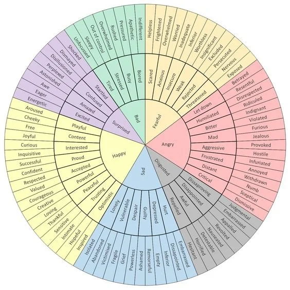 Wheel chart illustrating emotional responses and associated feelings categorized into six main emotions: Happy, Sad, Angry, Disgusted, Fear, and Surprised, with specific feelings listed for each.