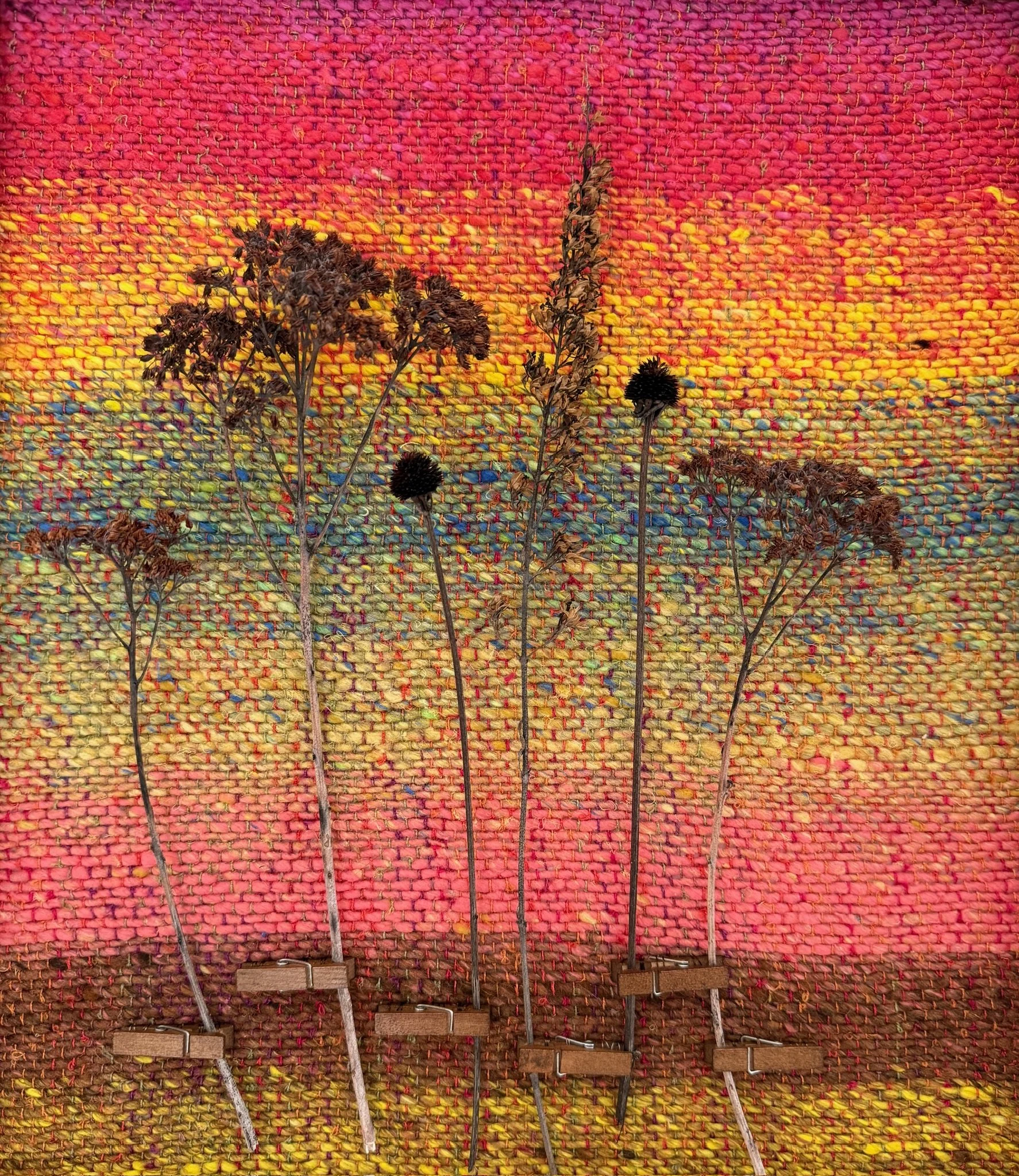 Flower Fields | 2026